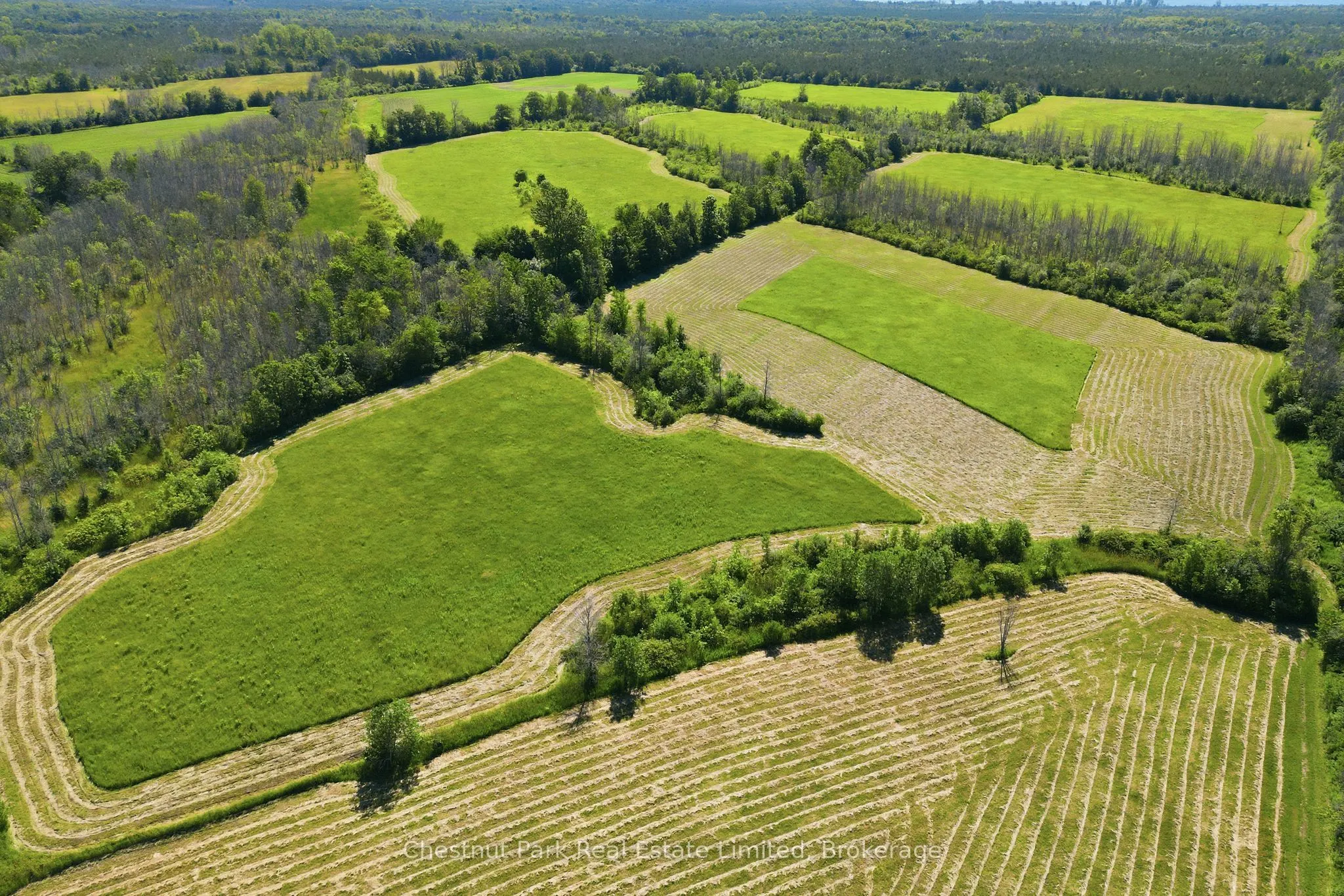 2650 County Road 13