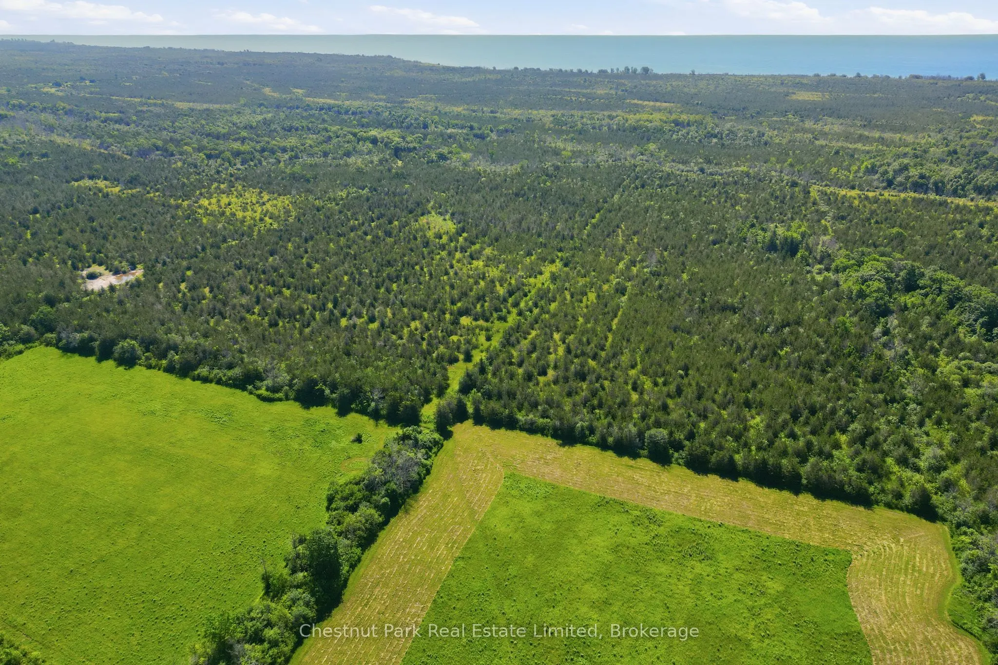 2650 County Road 13