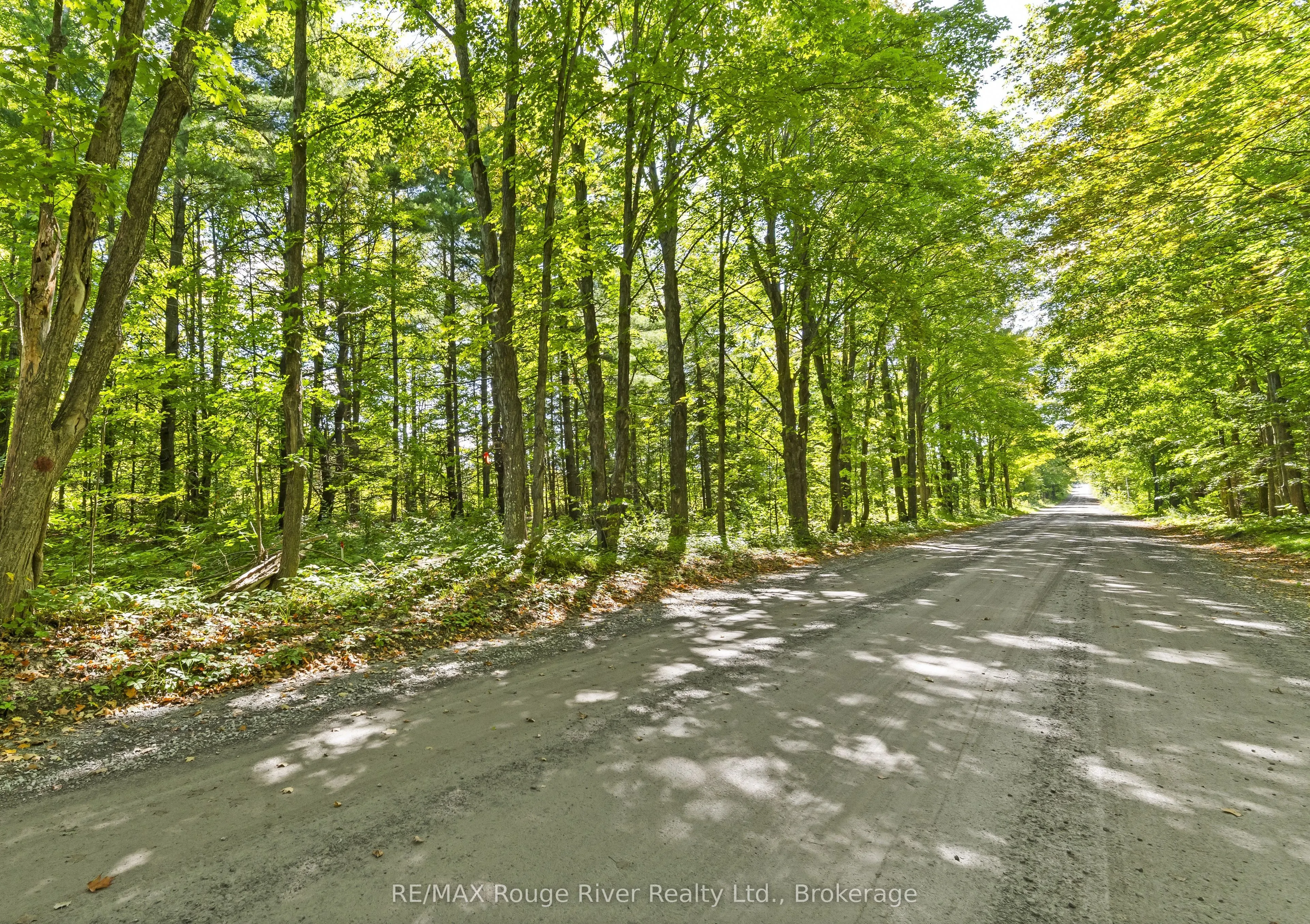 1321 Crowe River Road N