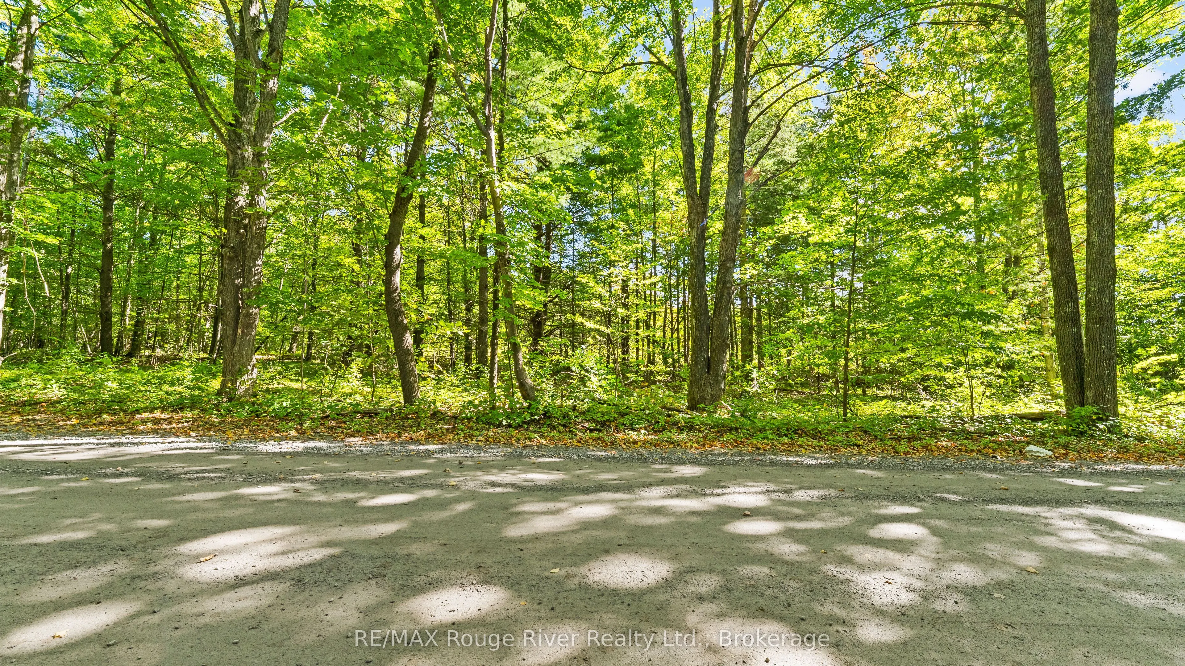 1321 Crowe River Road N