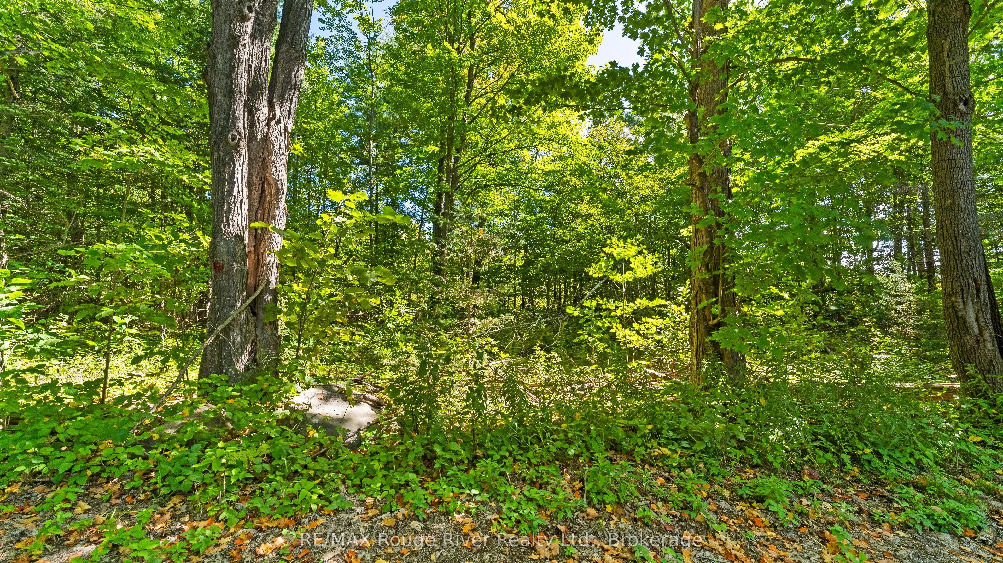 1321 Crowe River Road N