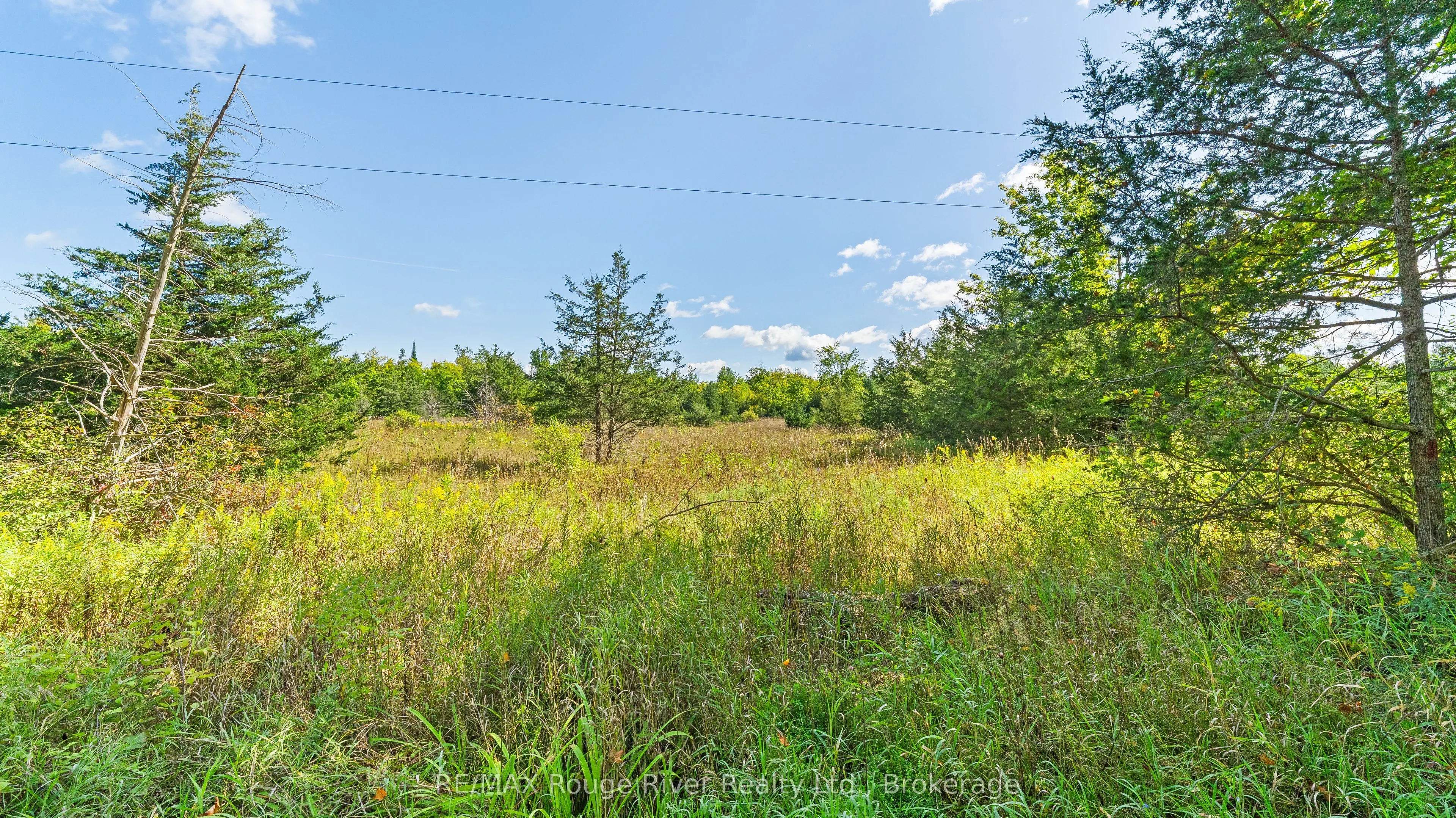 1321 Crowe River Road N