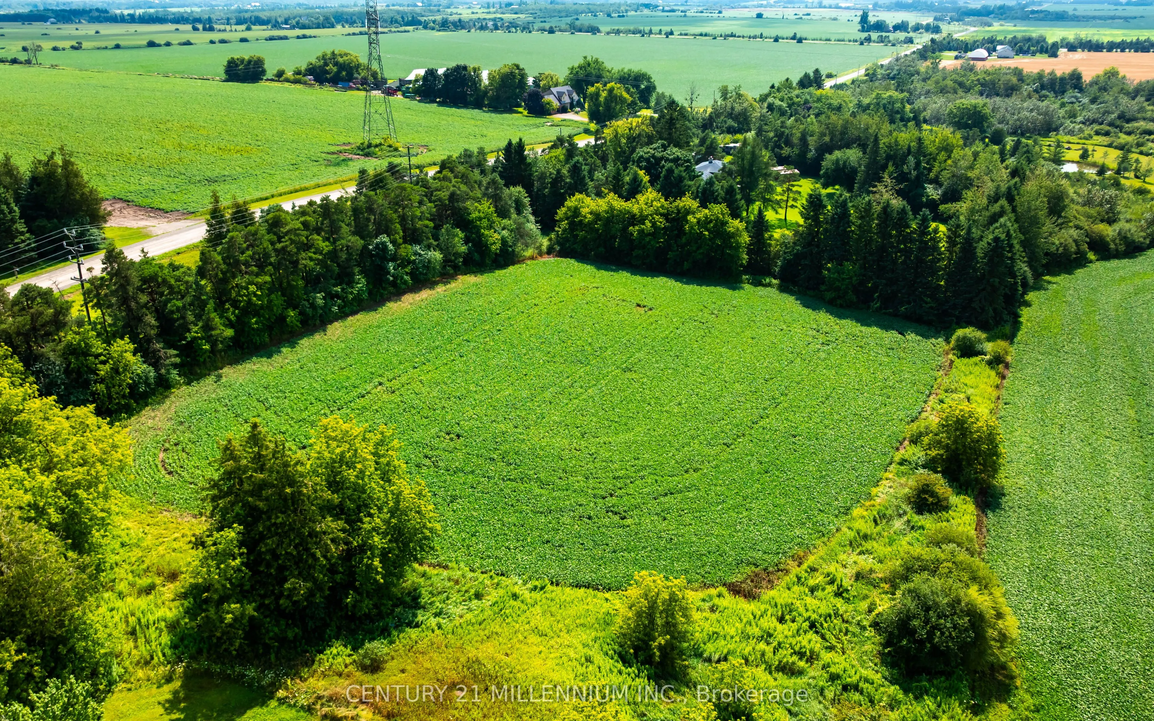 245097 5th Side Road