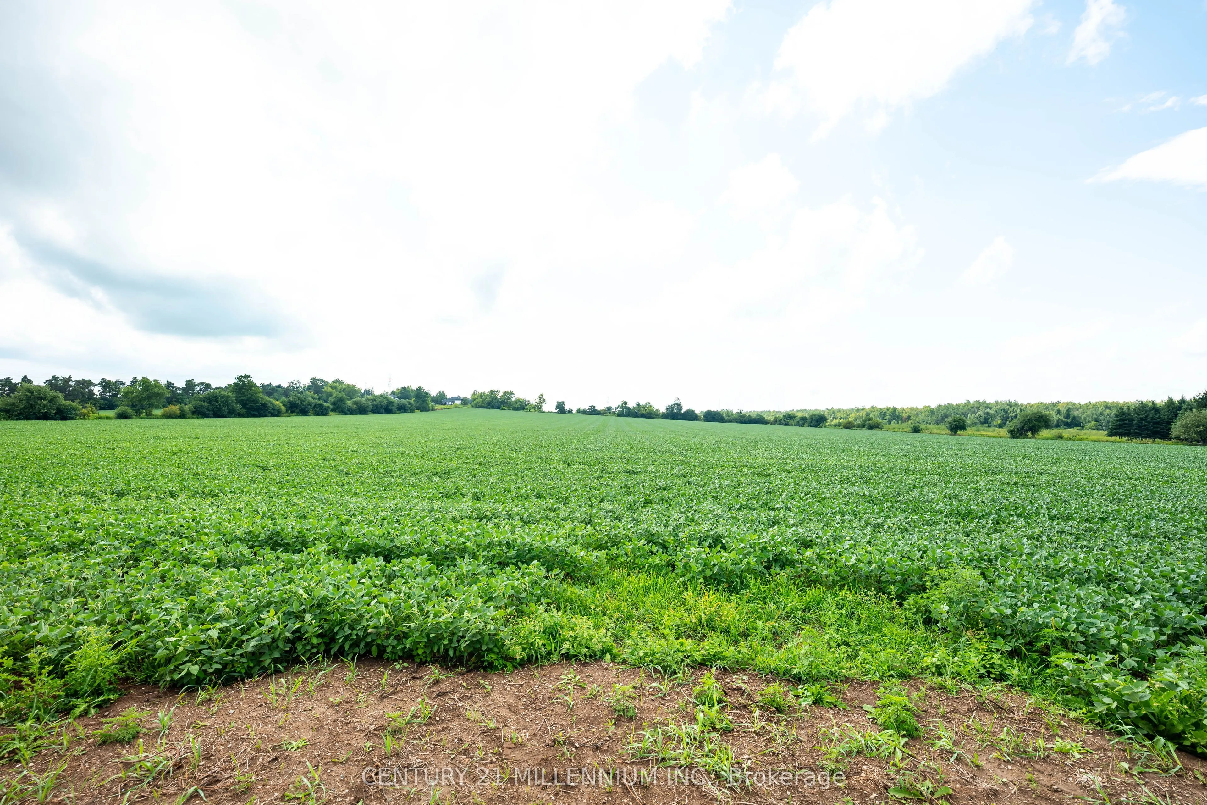 245097 5th Side Road