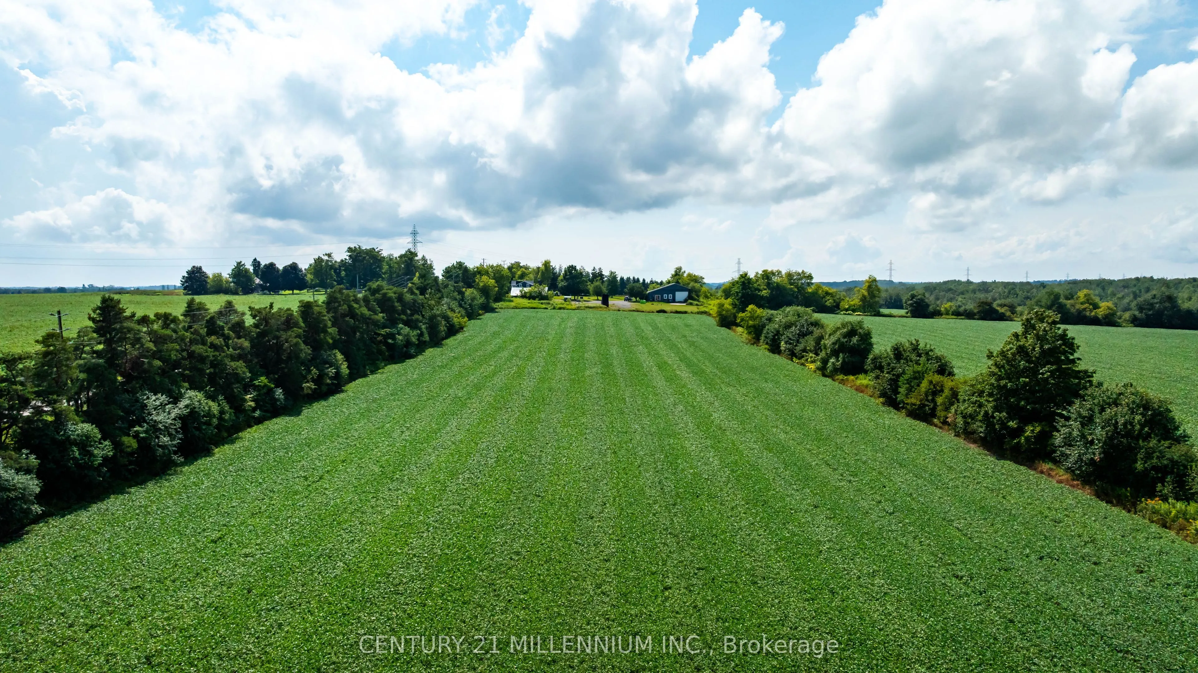 245097 5th Side Road