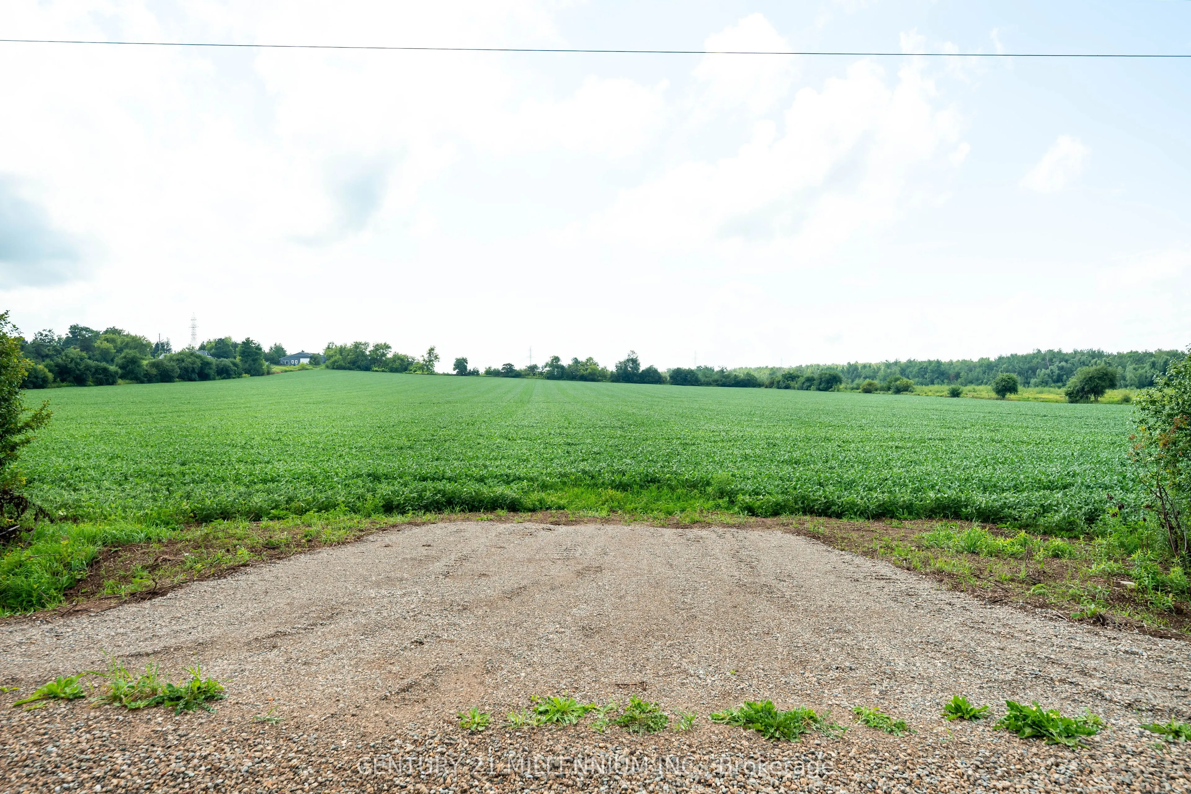 245097 5th Side Road