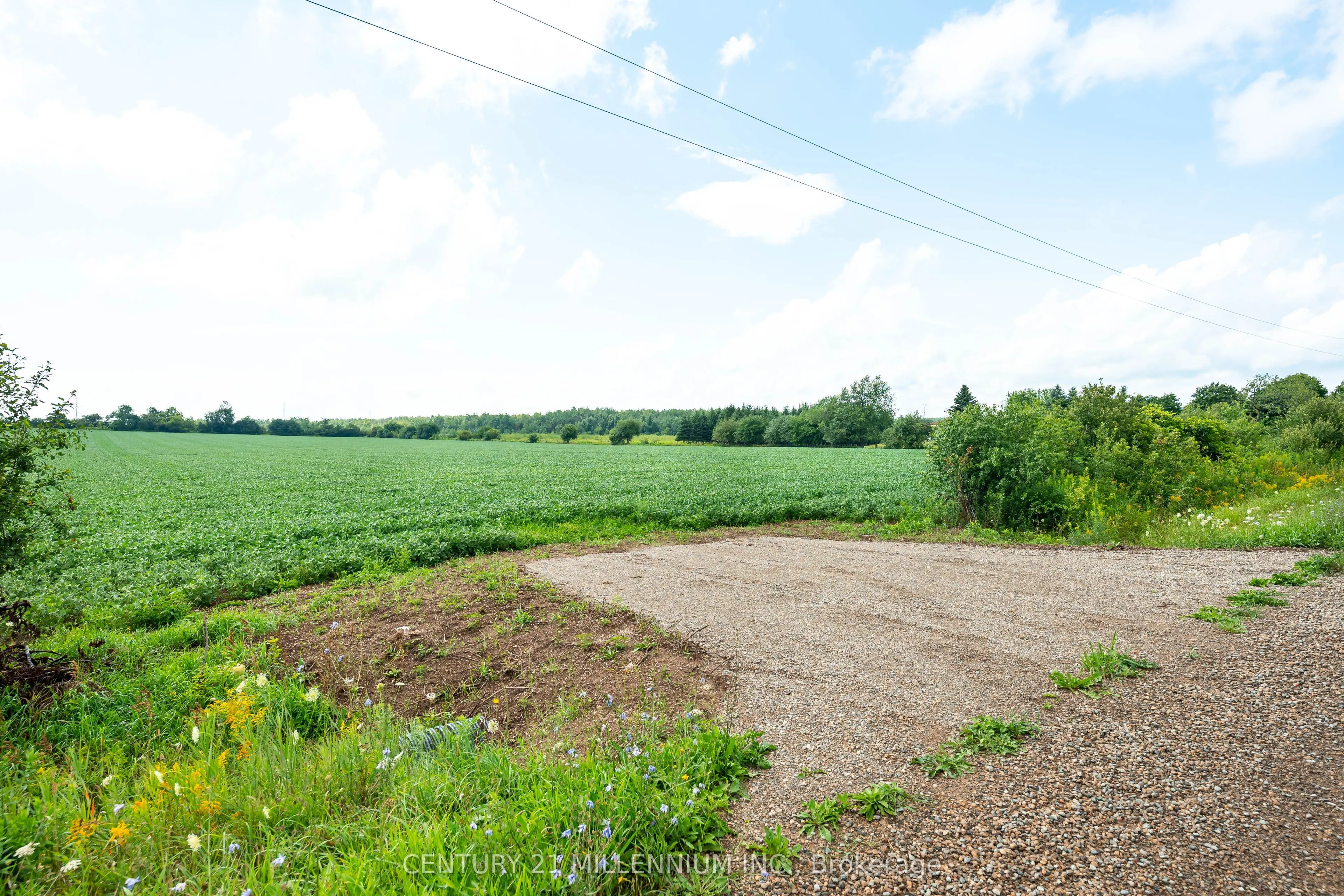 245097 5th Side Road