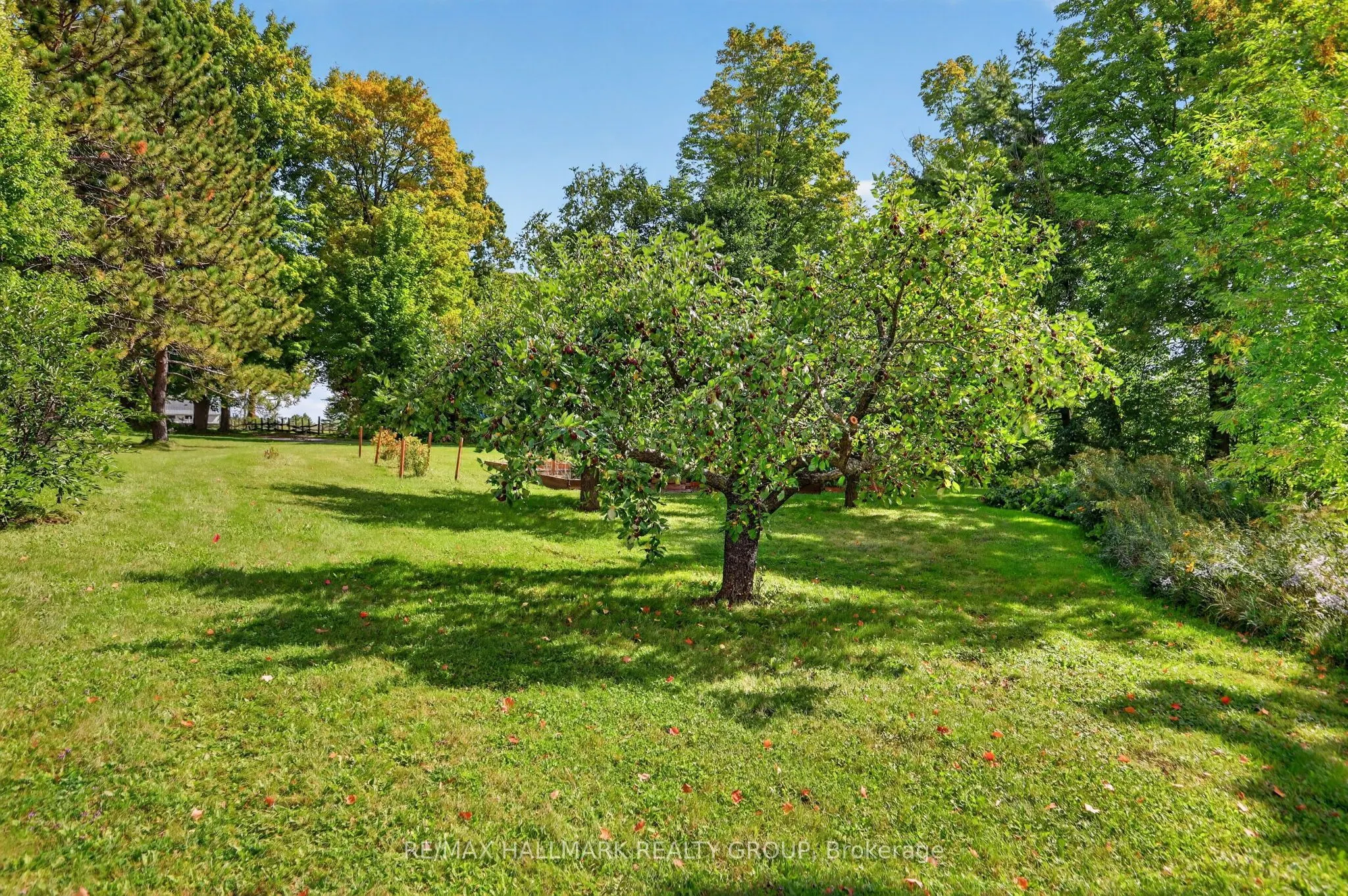 765 Scheel Drive