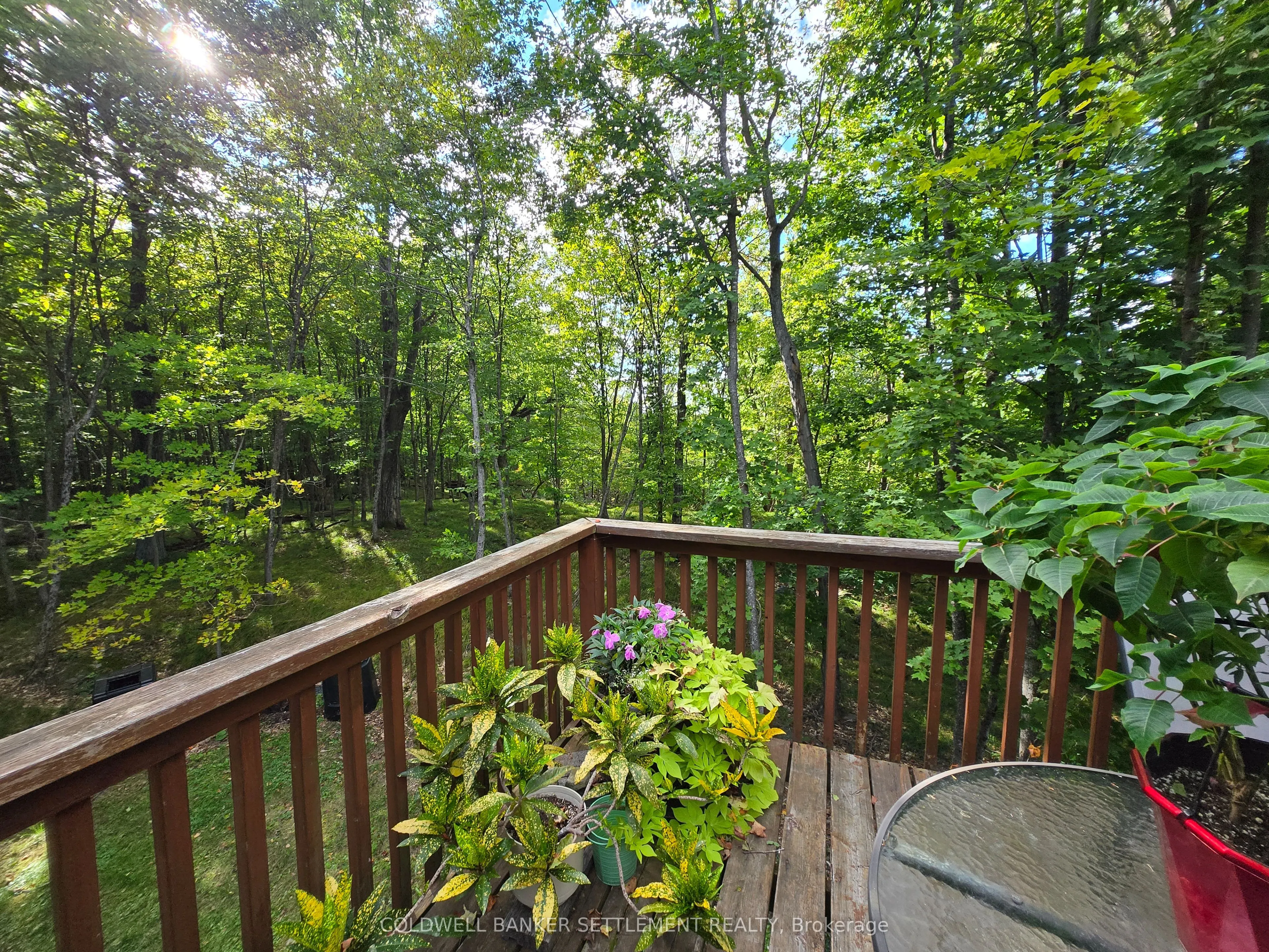 254 Lakewood Road