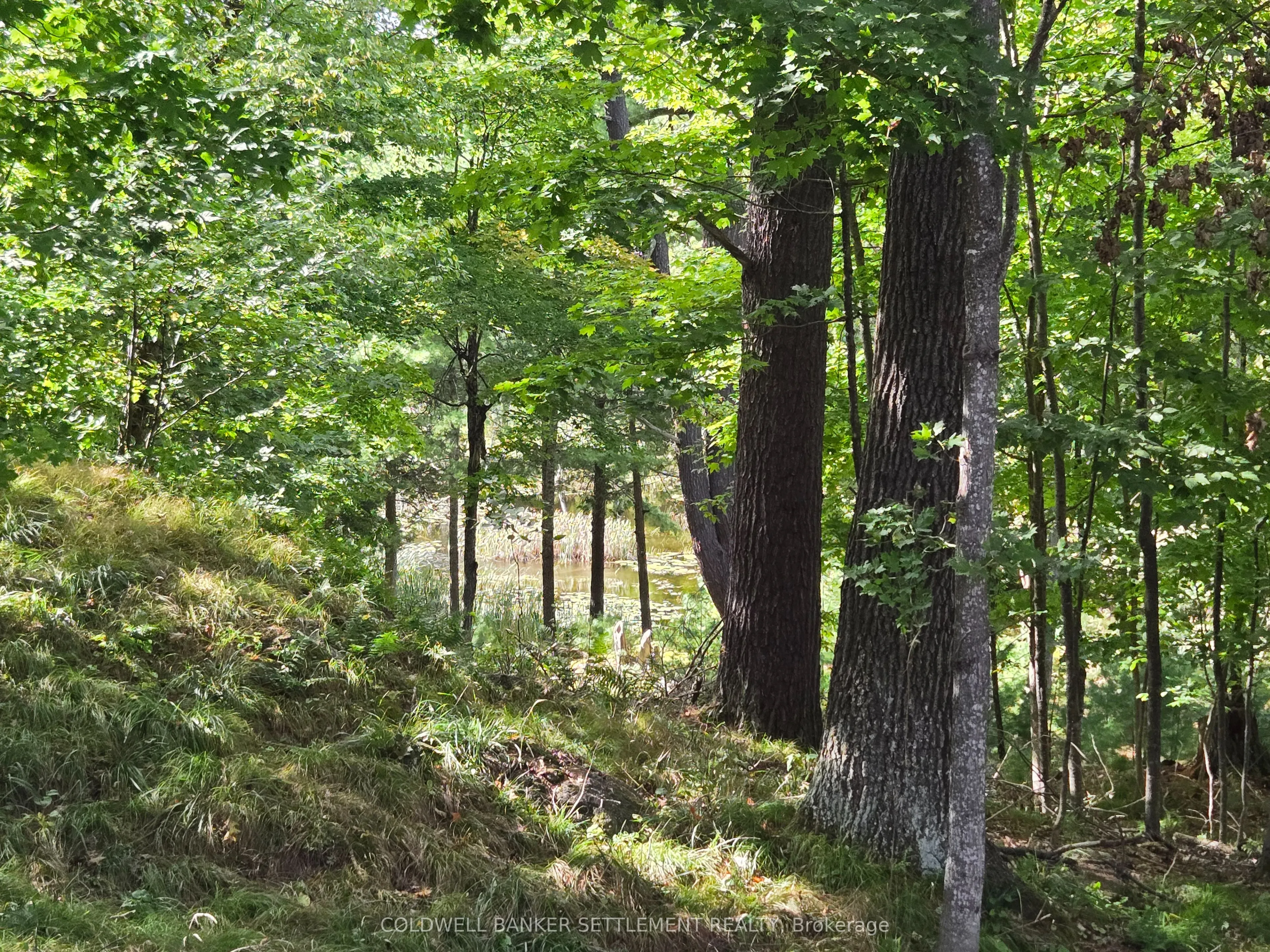 254 Lakewood Road