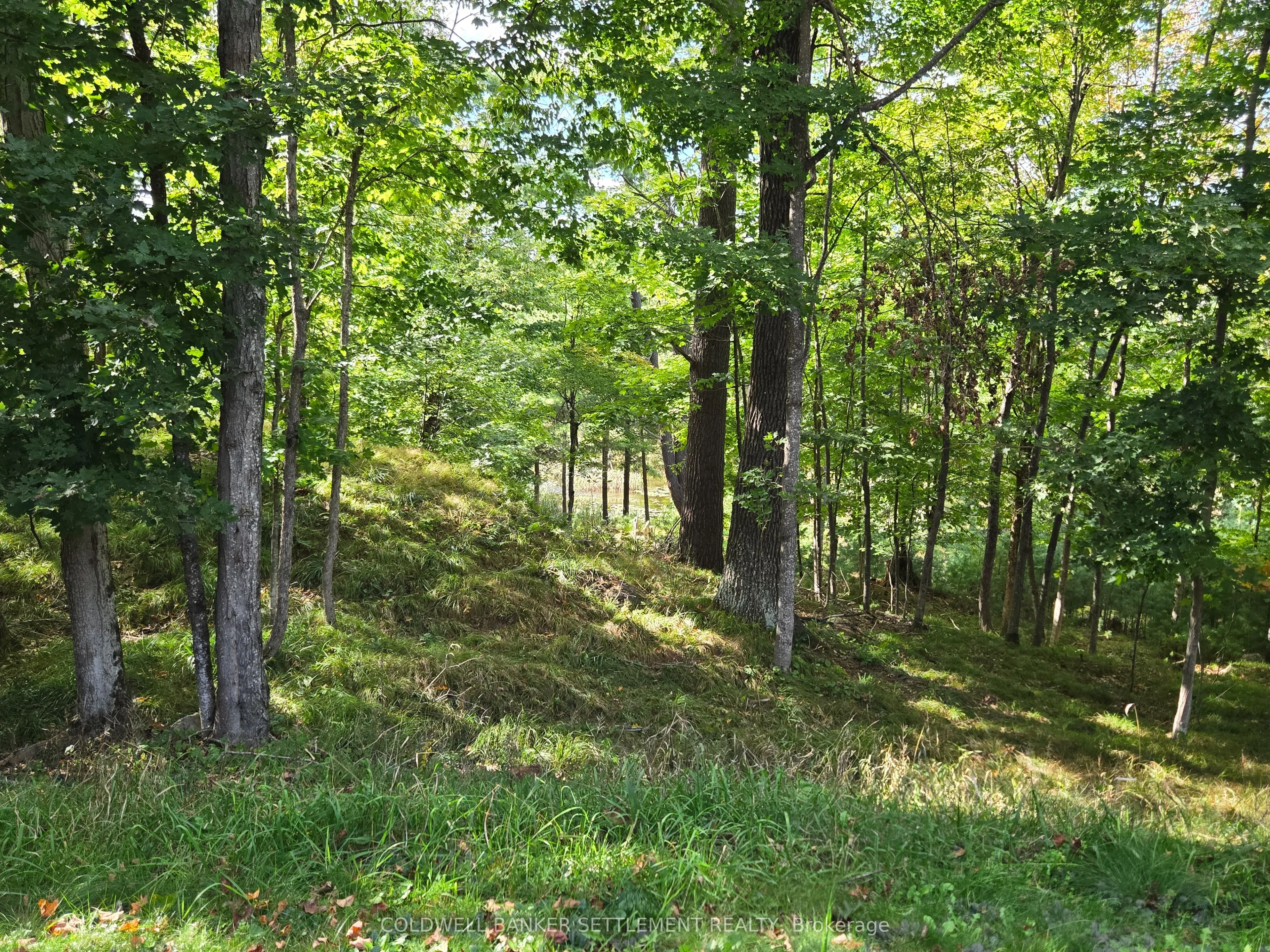 254 Lakewood Road