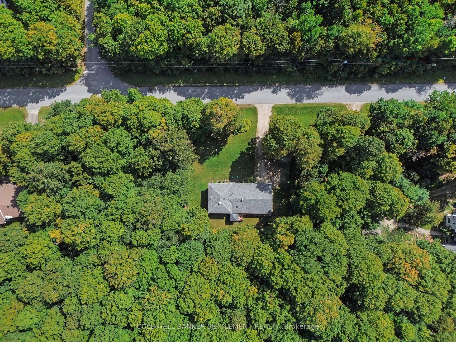 142 Trillium Drive