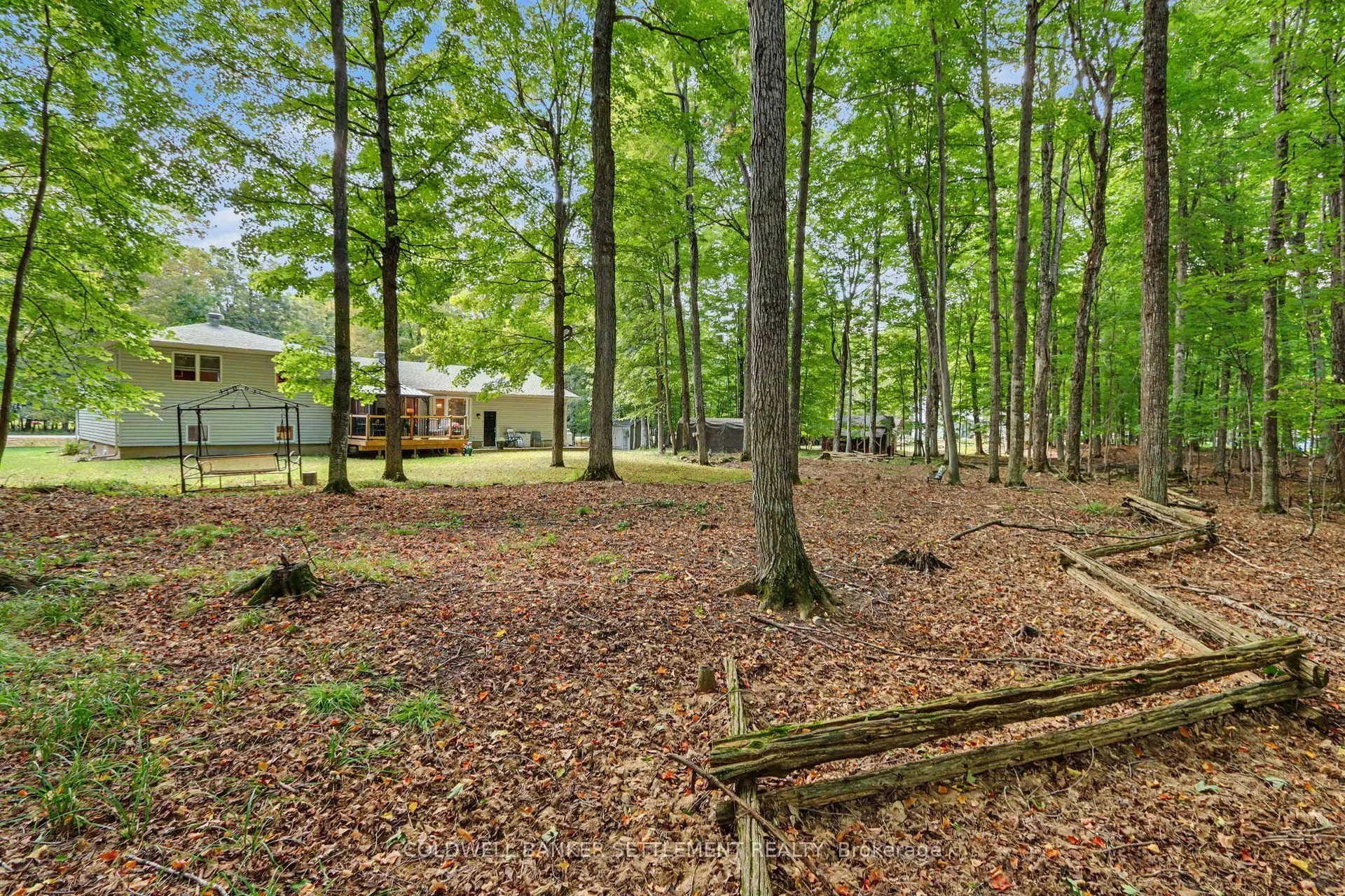 142 Trillium Drive