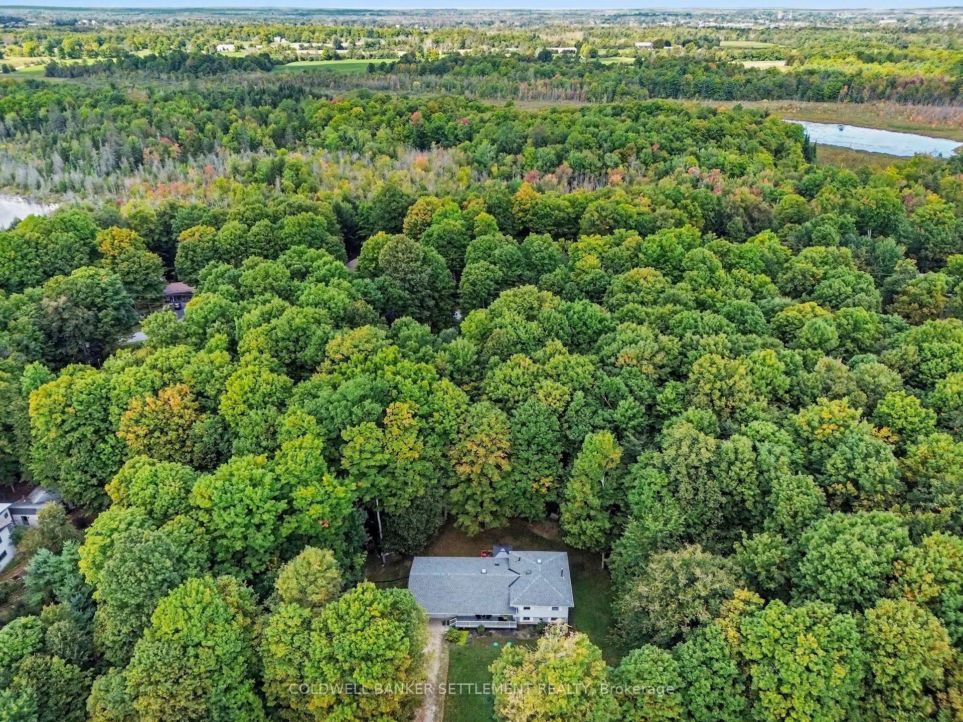 142 Trillium Drive