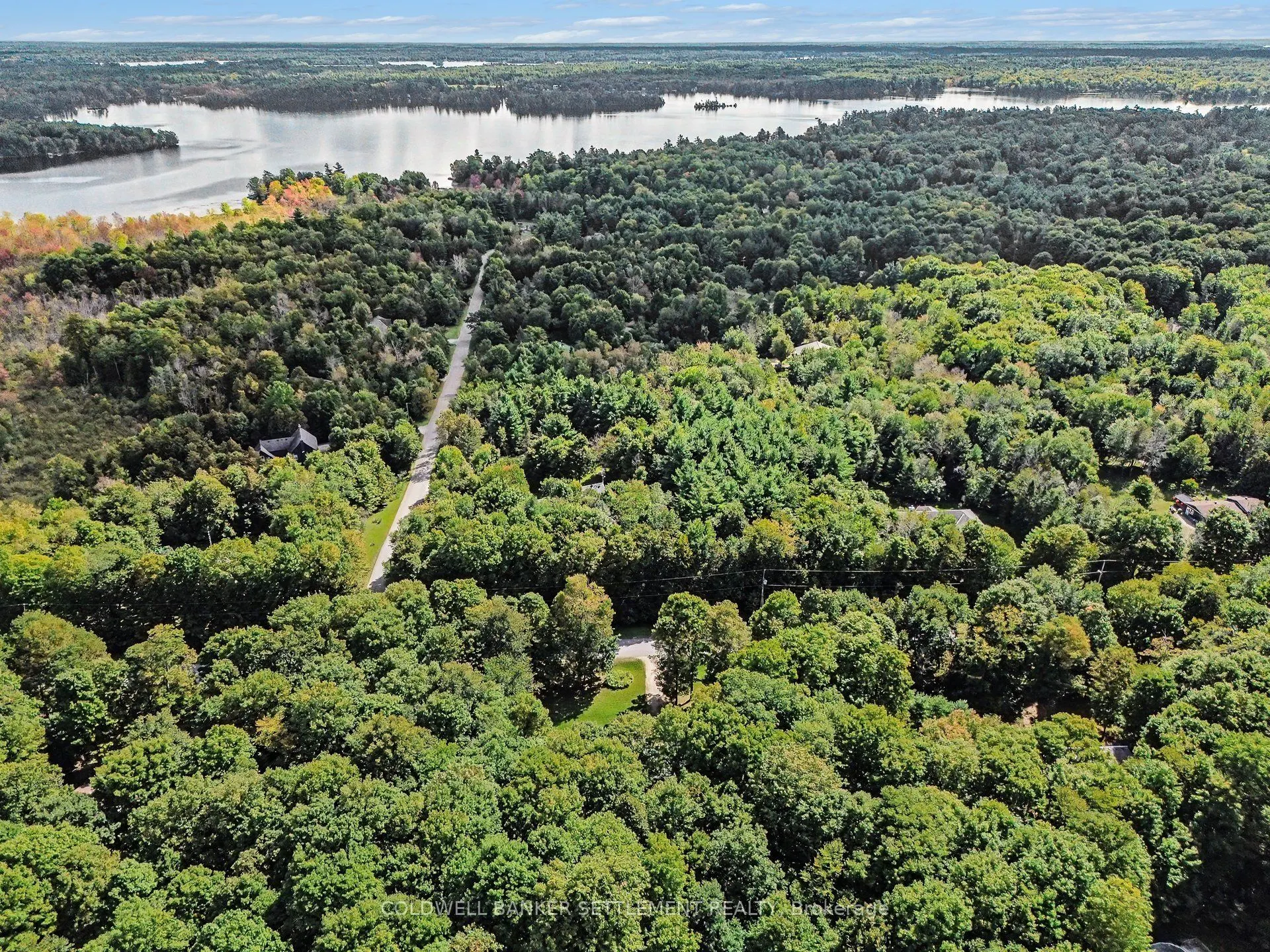 142 Trillium Drive