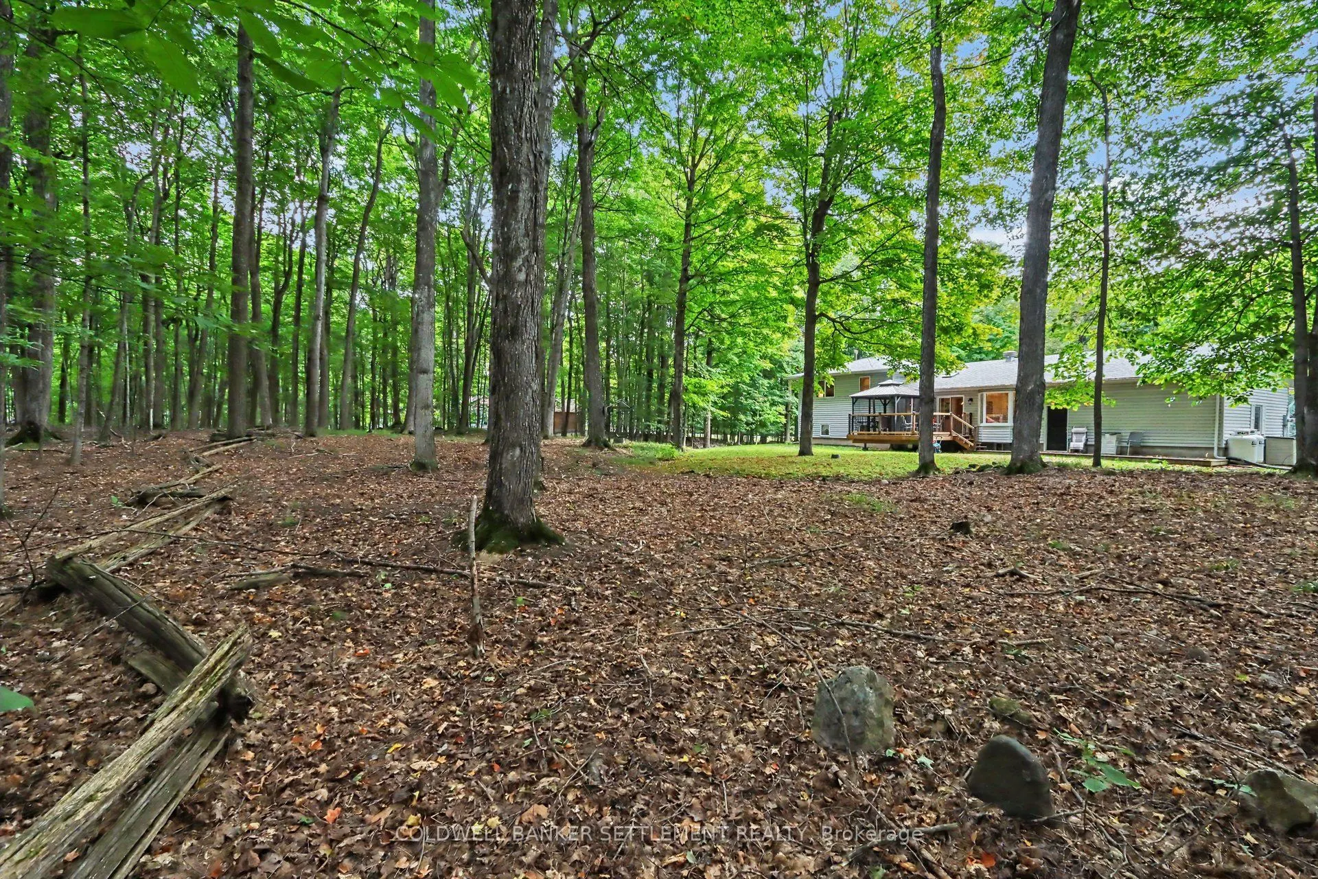 142 Trillium Drive