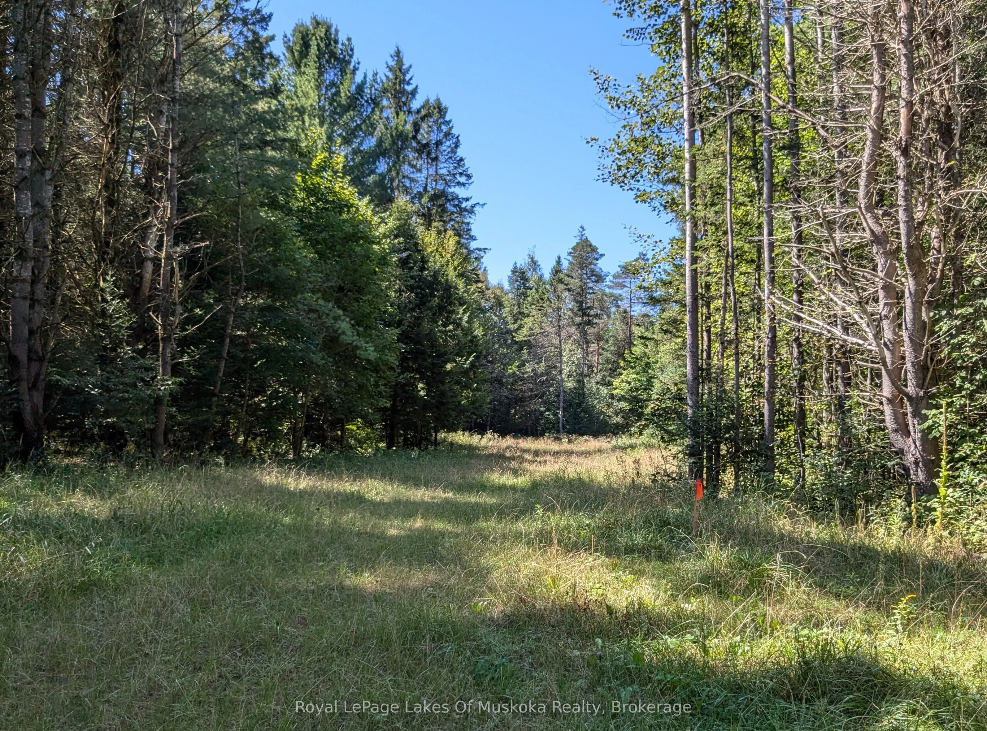 1059 Ablett Court