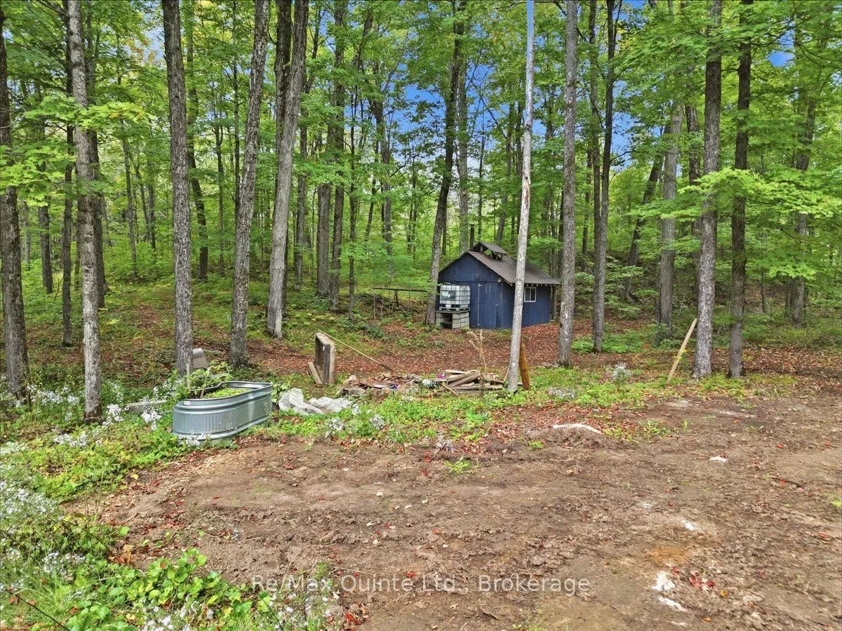 578 Old Apsley Road
