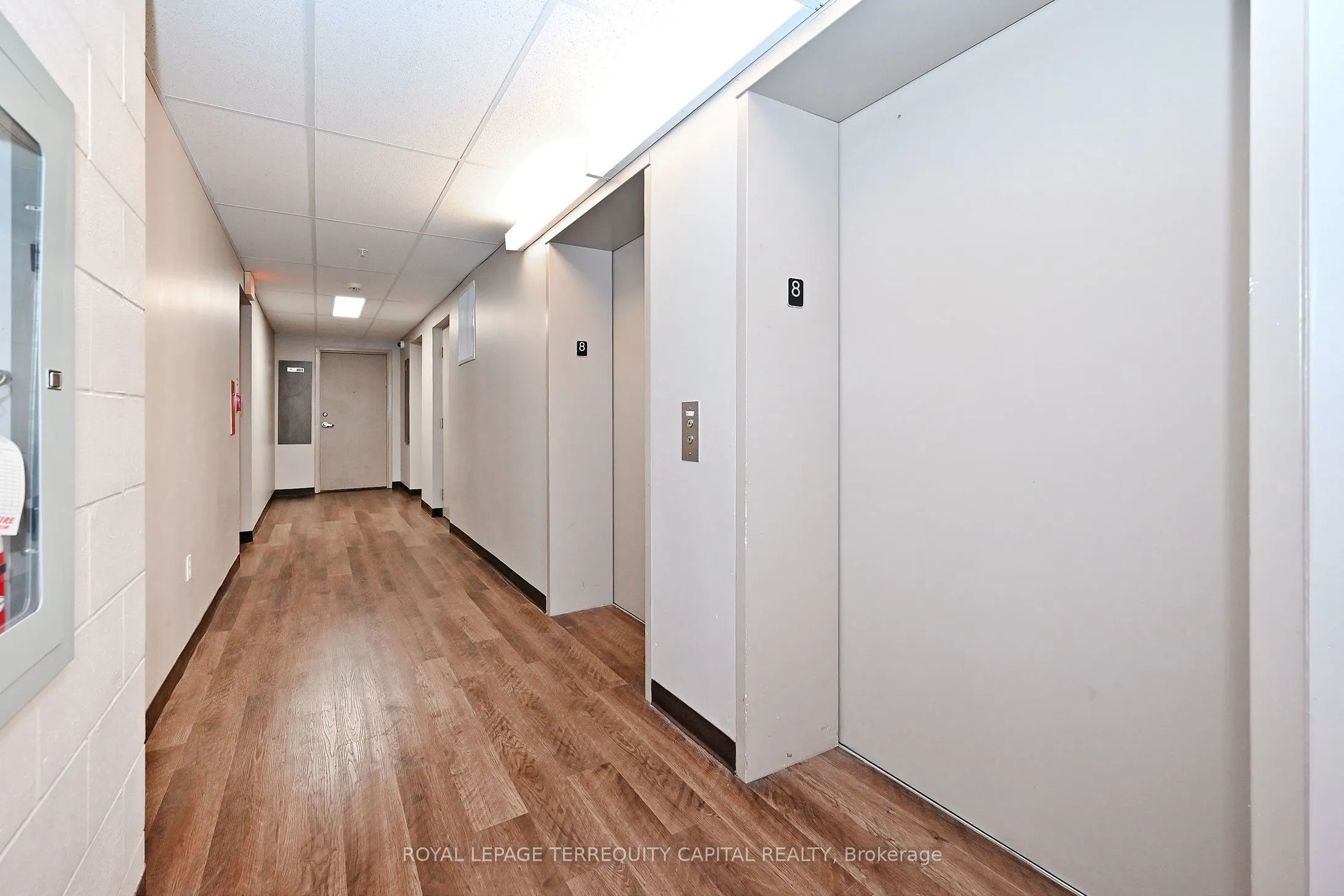 8 Hickory Street #803