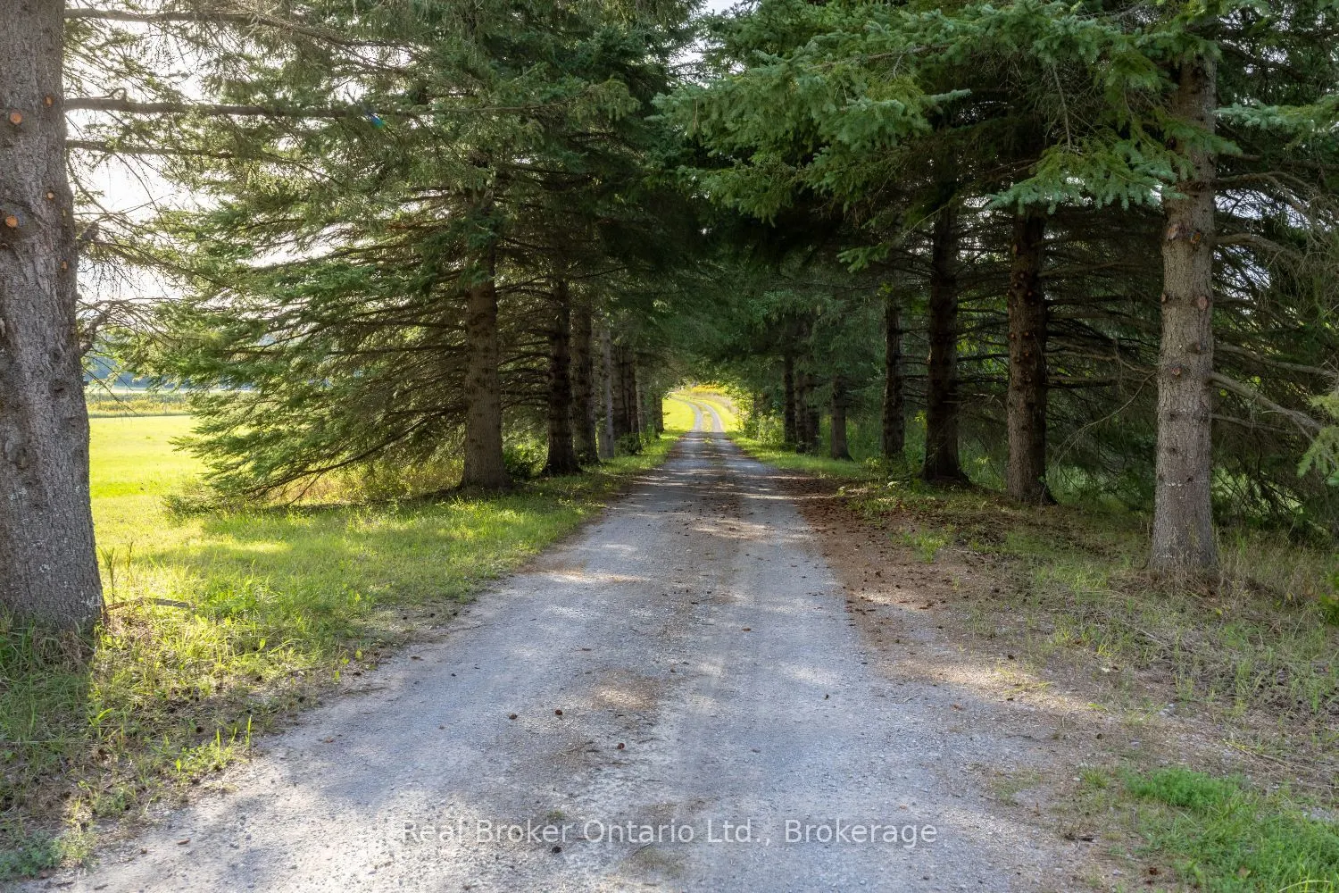982 Porter Road