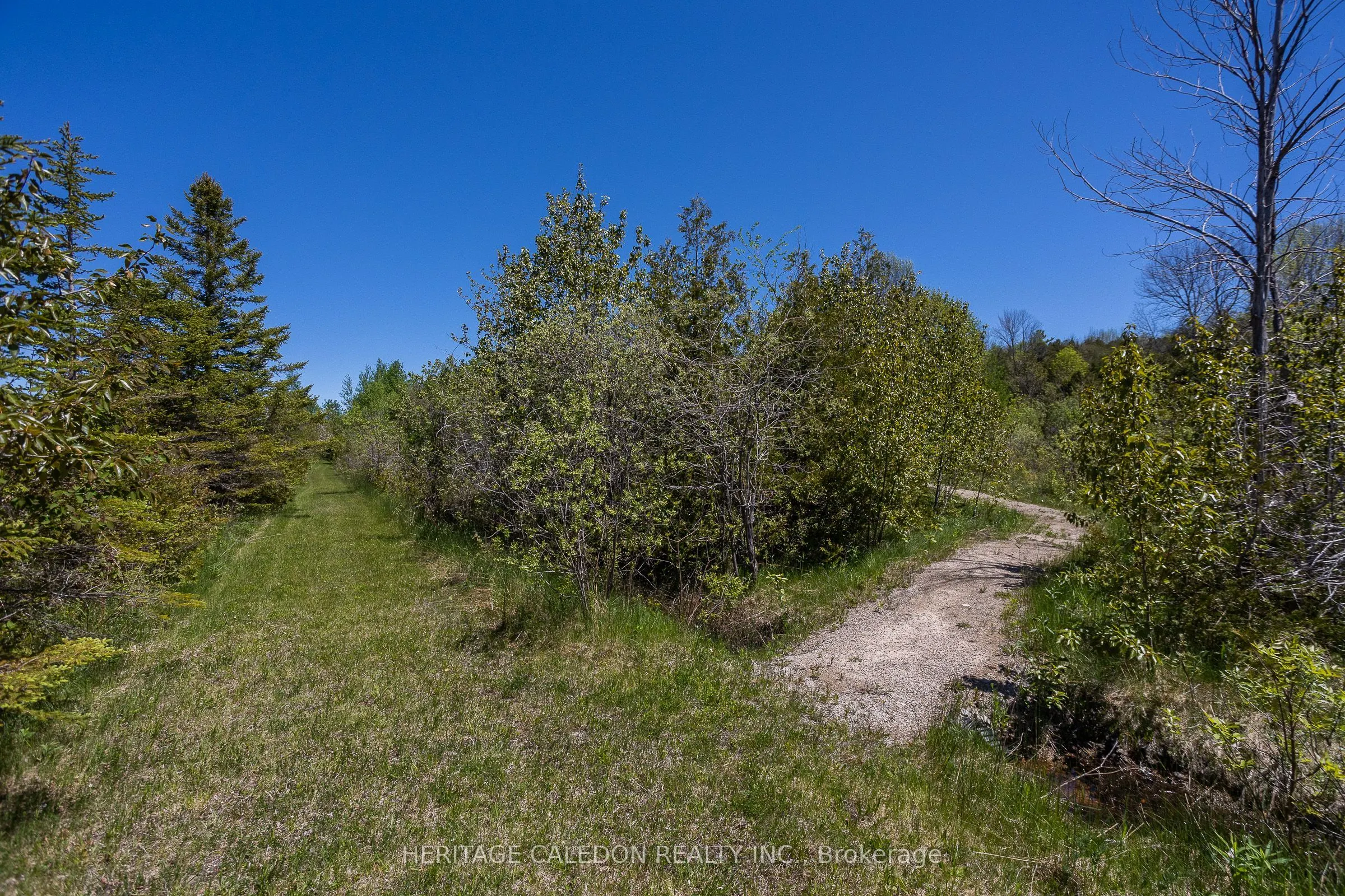 501241 Grey Rd 1