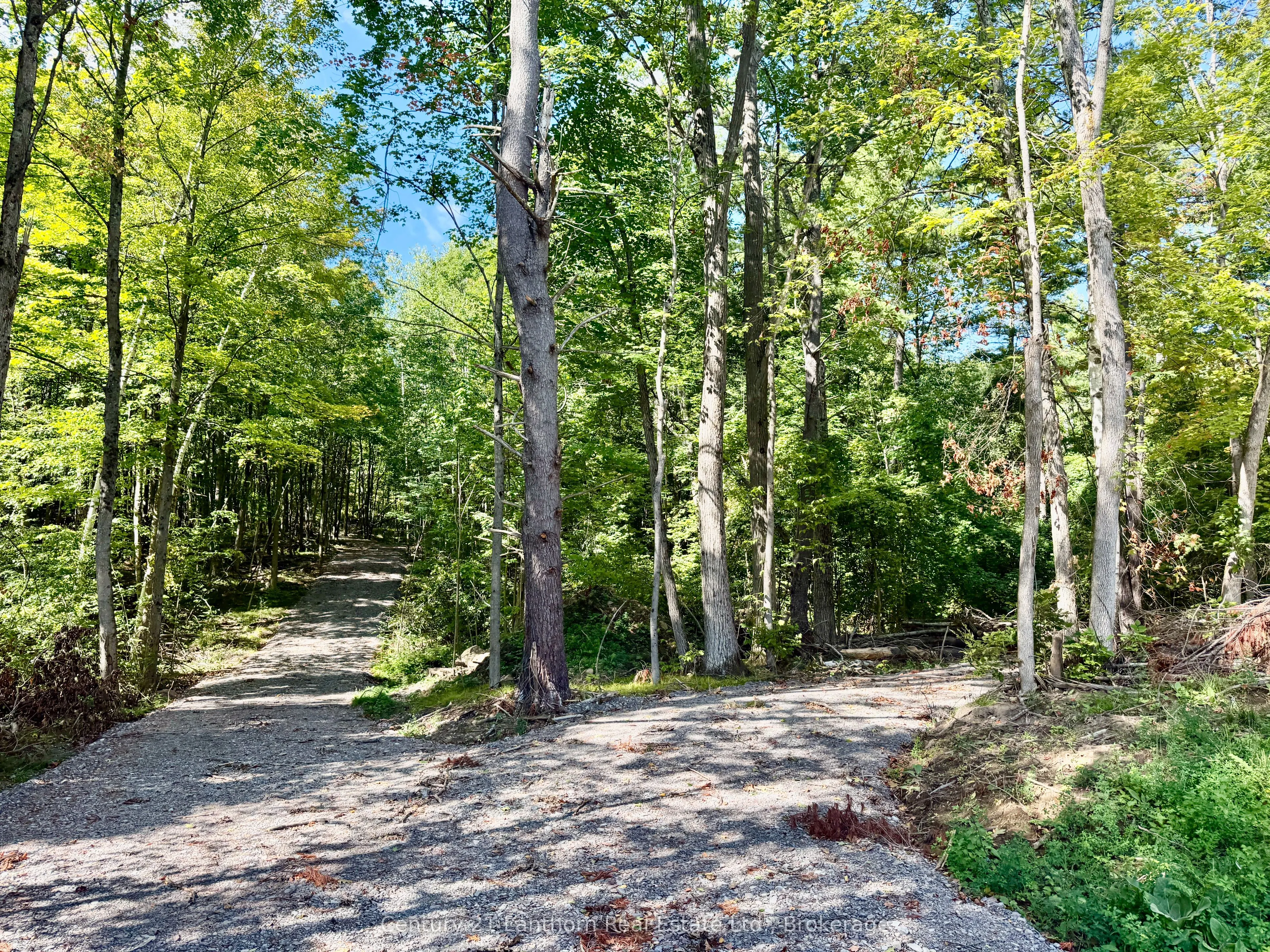 00 North Lot Highway 62