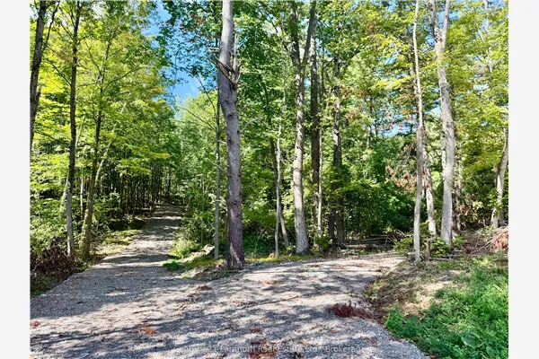 00 North Lot Highway 62