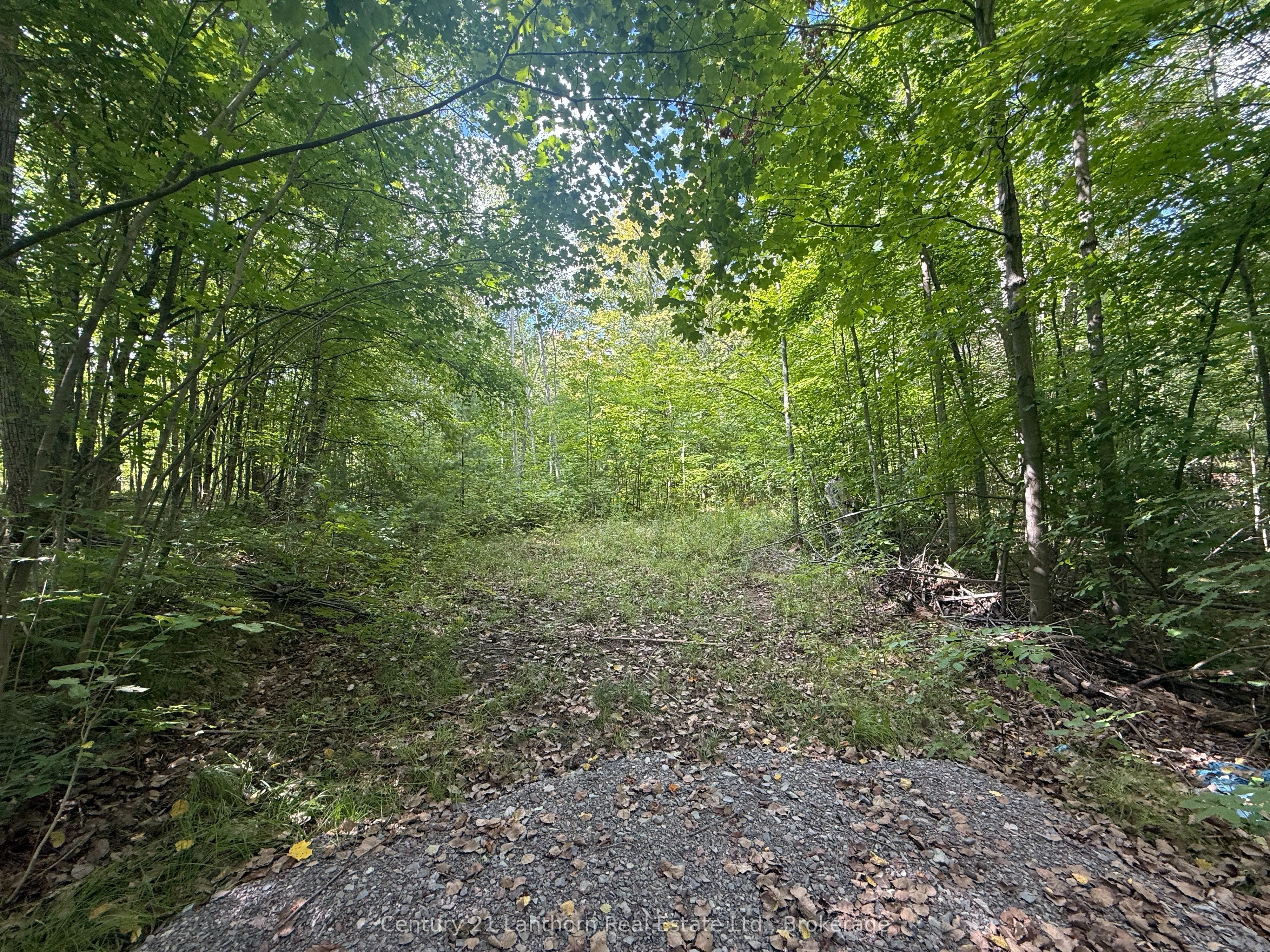 00 South Lot Highway 62