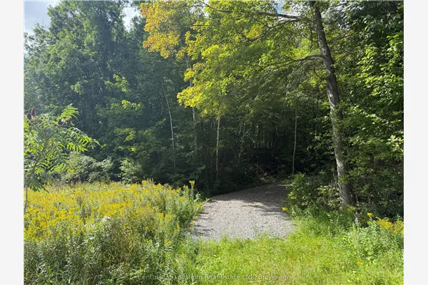00 South Lot Highway 62