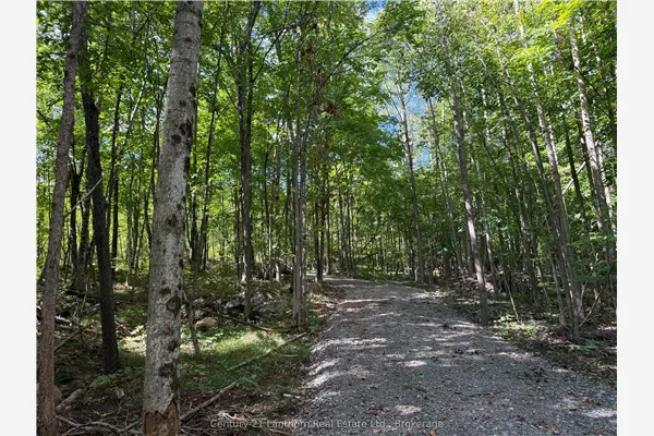00 Middle Lot Highway 62