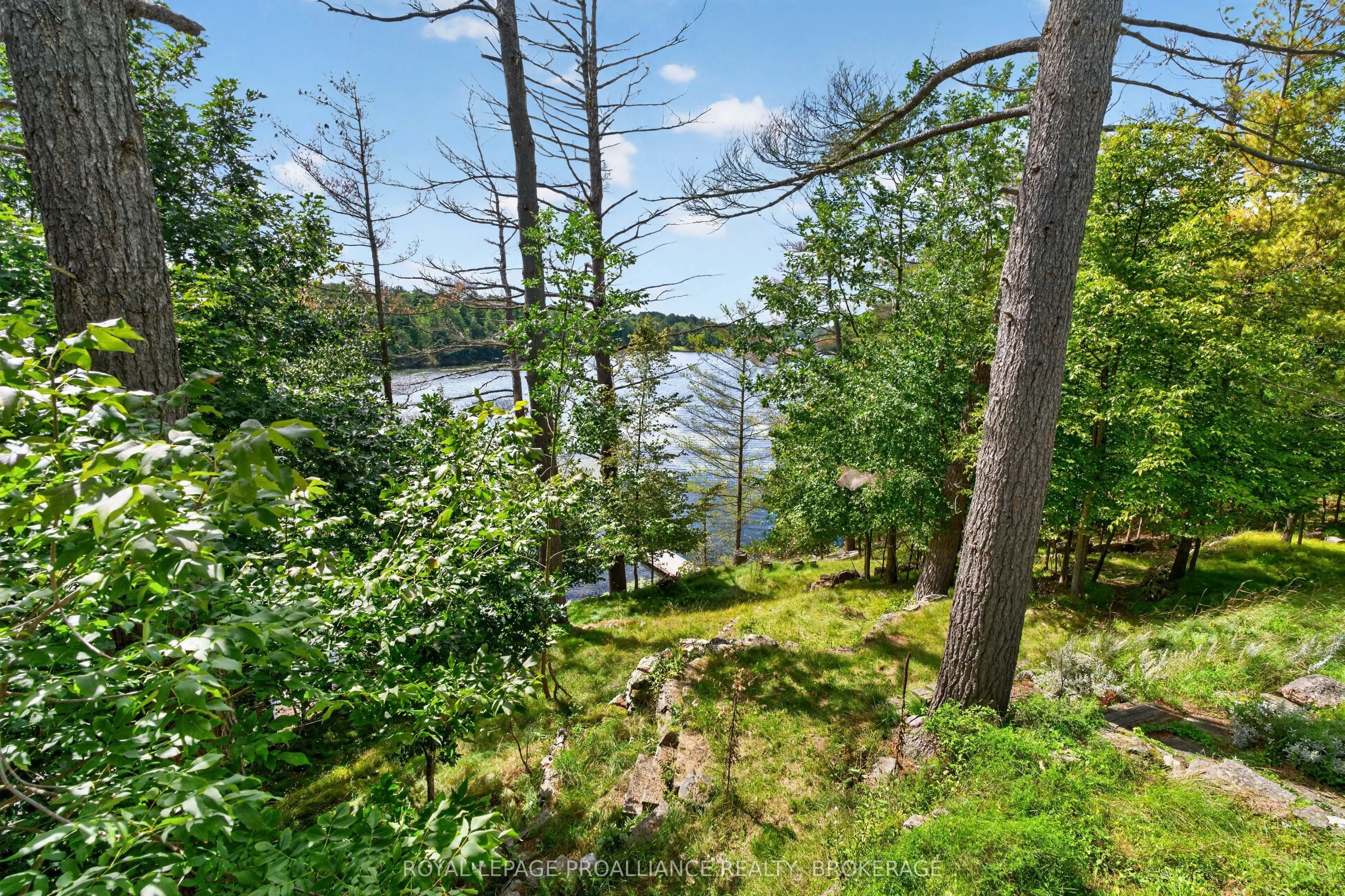 39 Rugged Lane