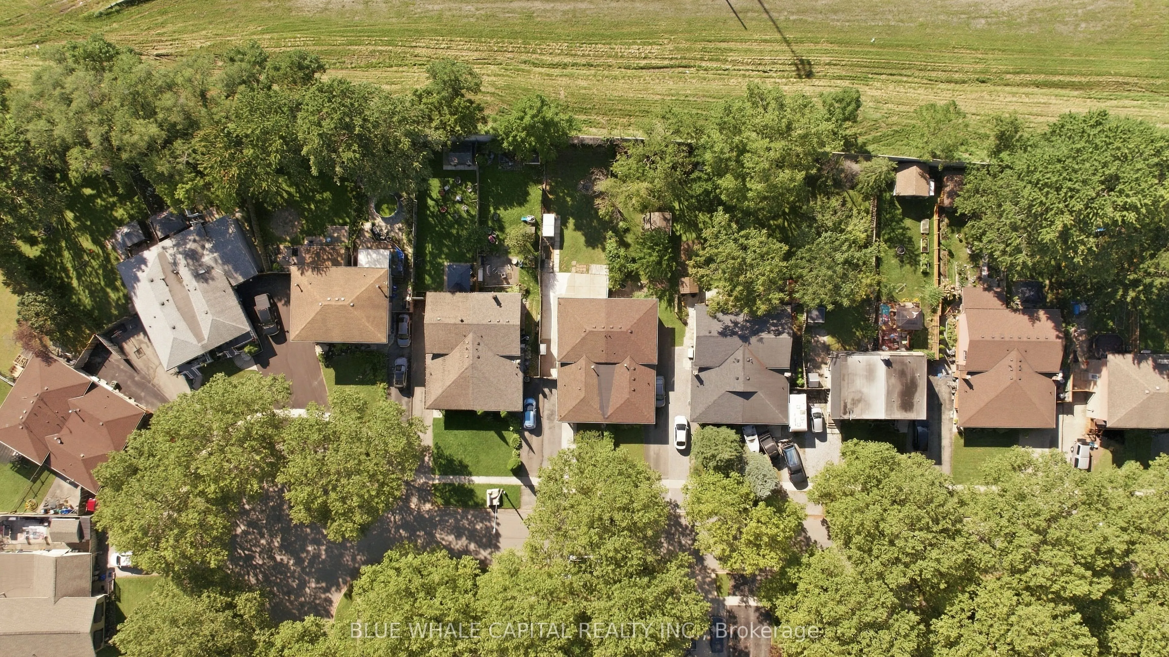 4411 MEADOWVALE Drive