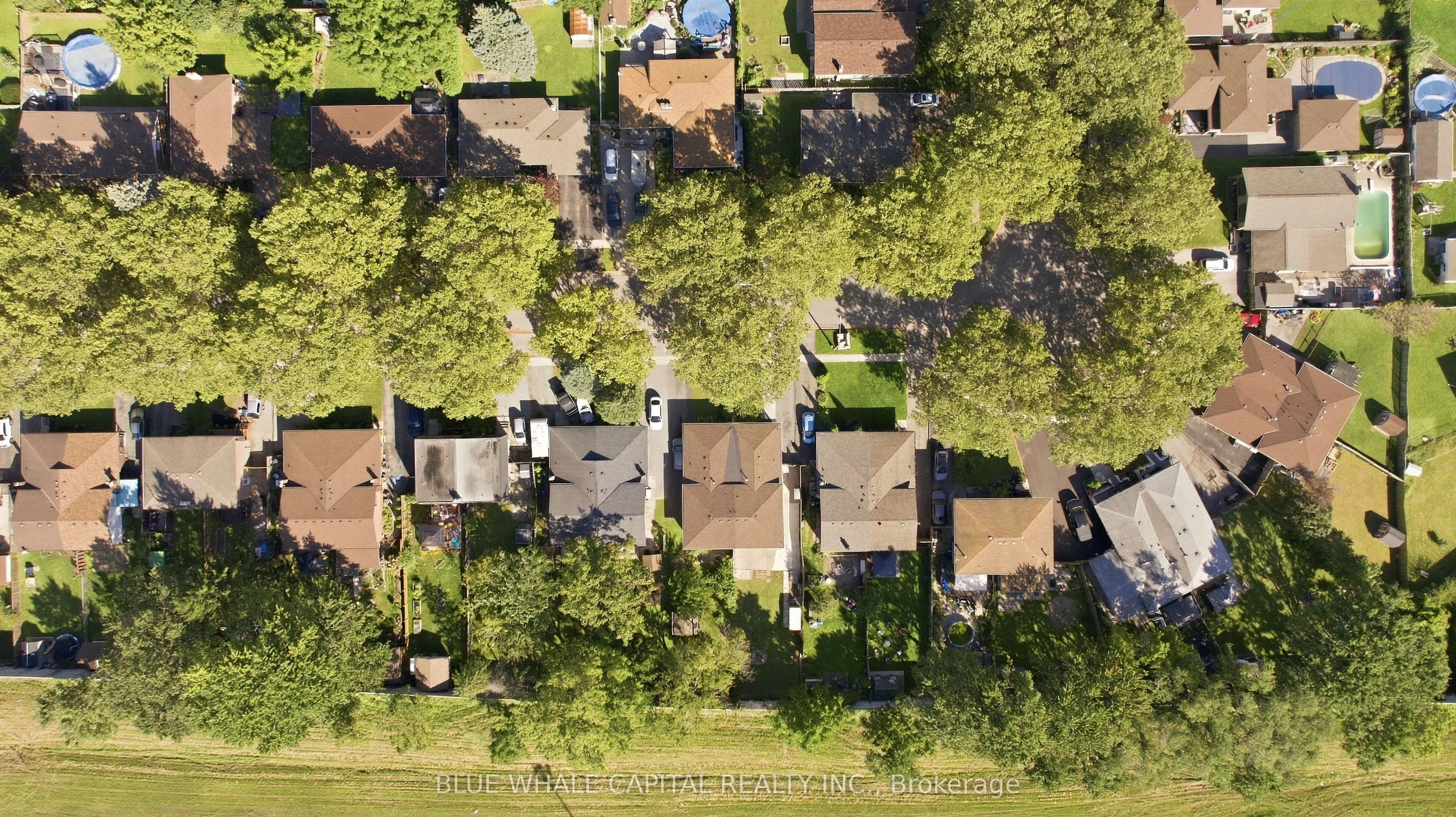 4411 MEADOWVALE Drive