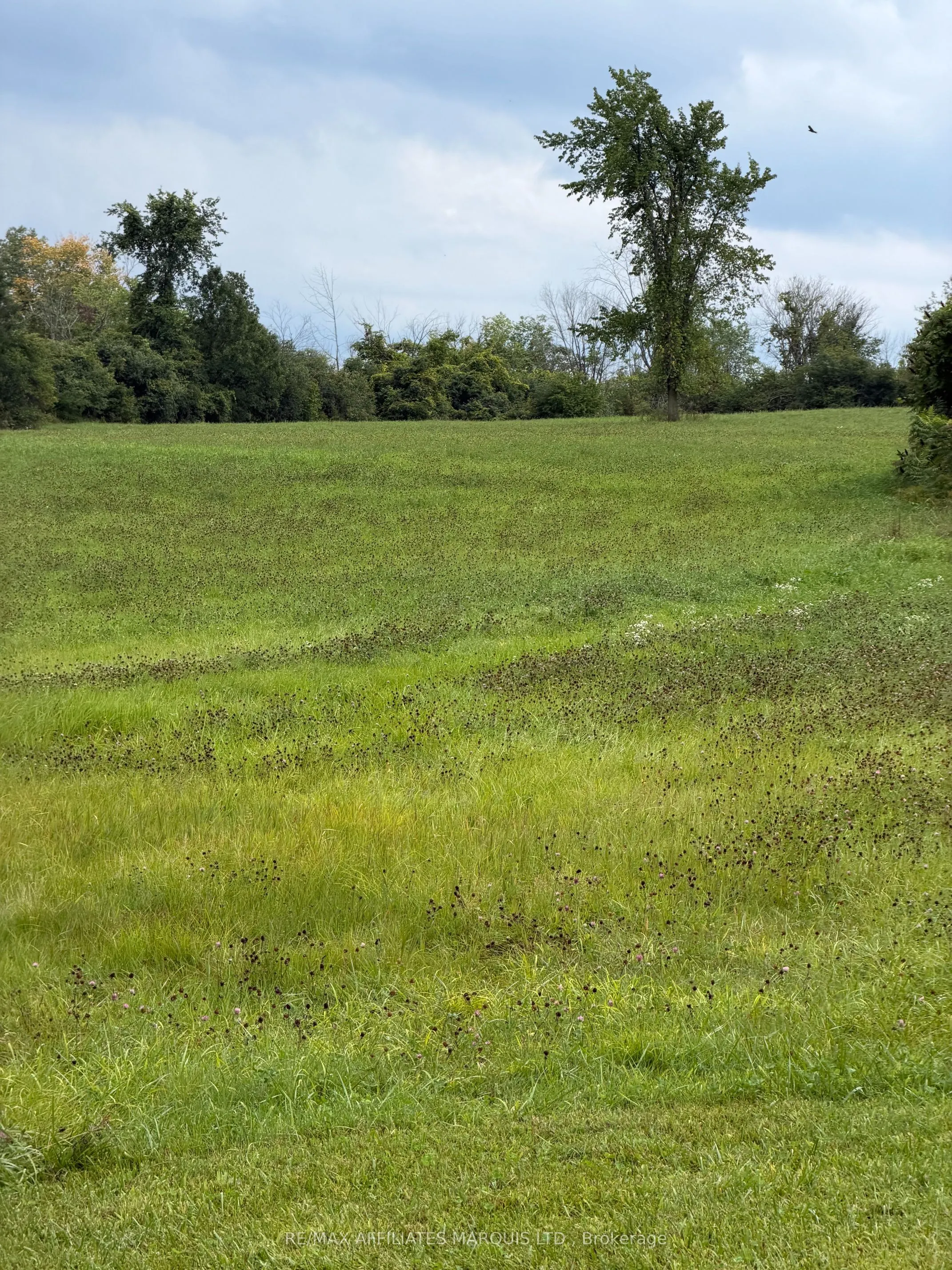 19512 Gore Road Acres E
