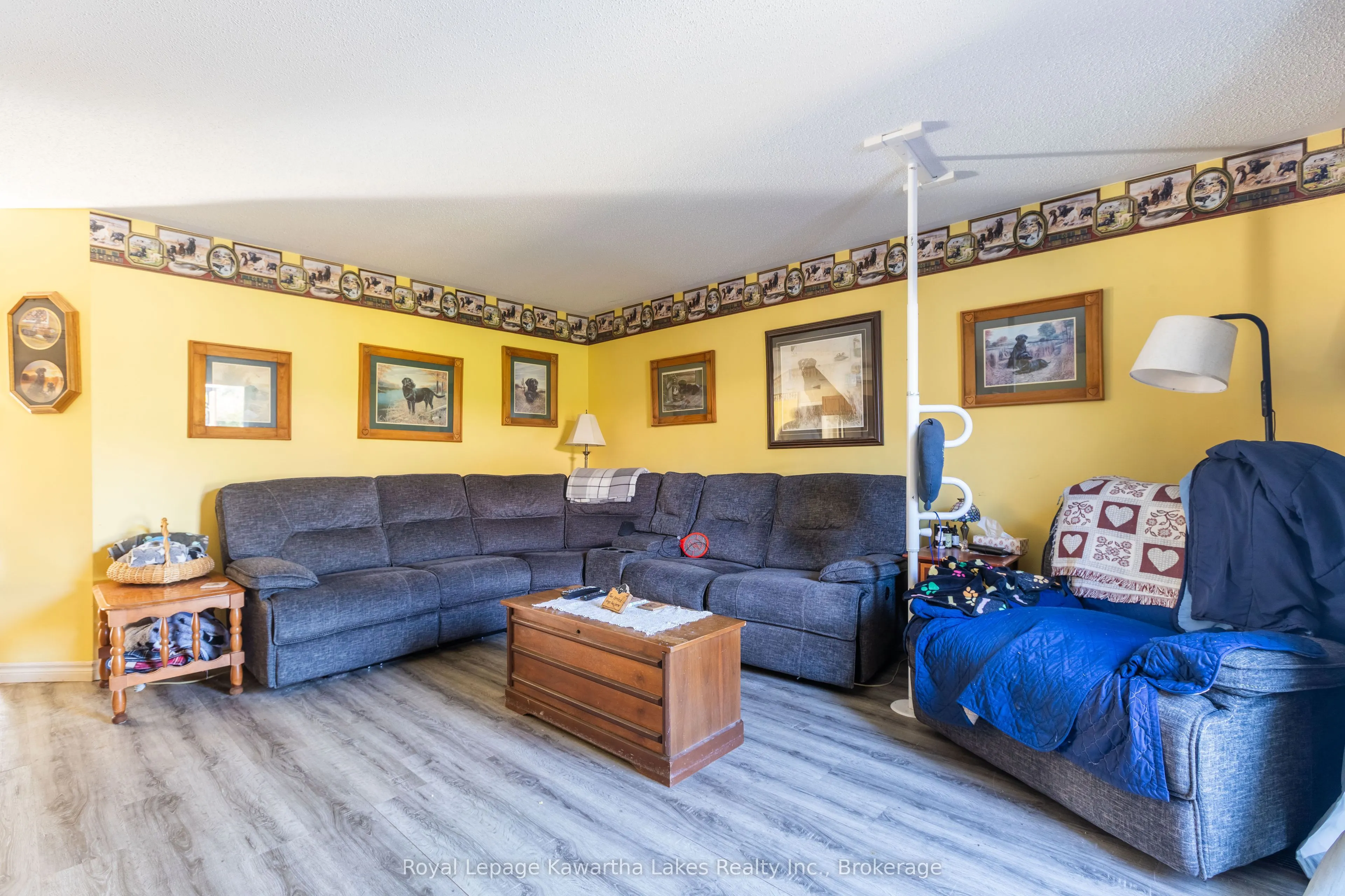 27 Elm Tree Road