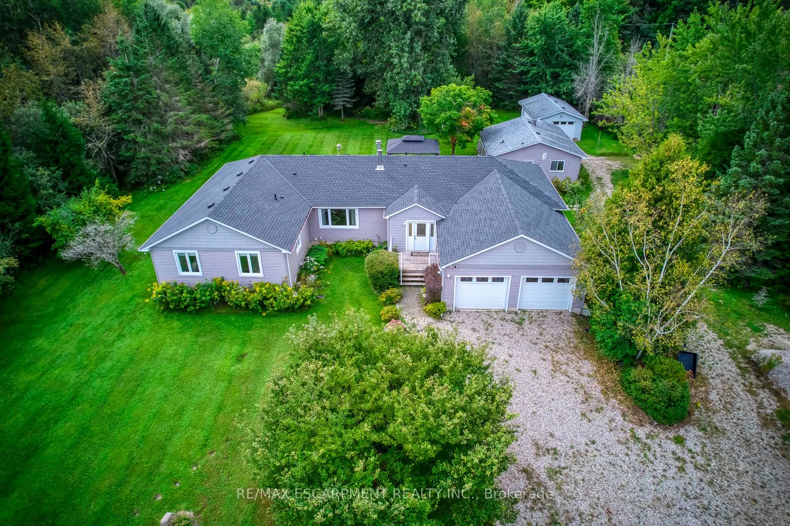 555118 MONO AMARANTH Townline