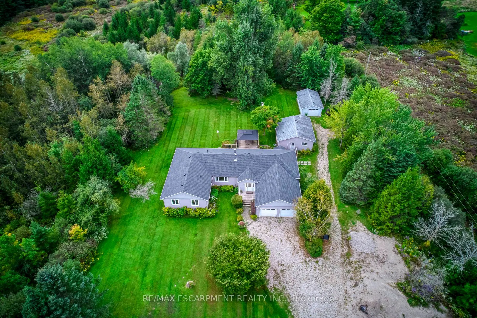 555118 MONO AMARANTH Townline