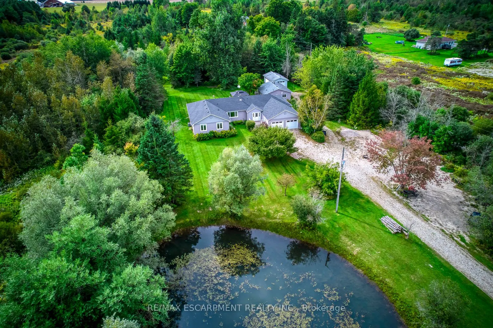 555118 MONO AMARANTH Townline