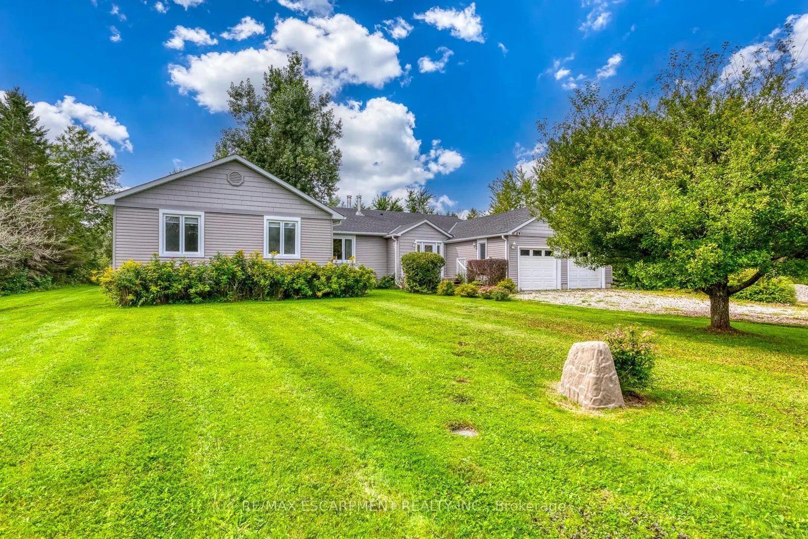 555118 MONO AMARANTH Townline