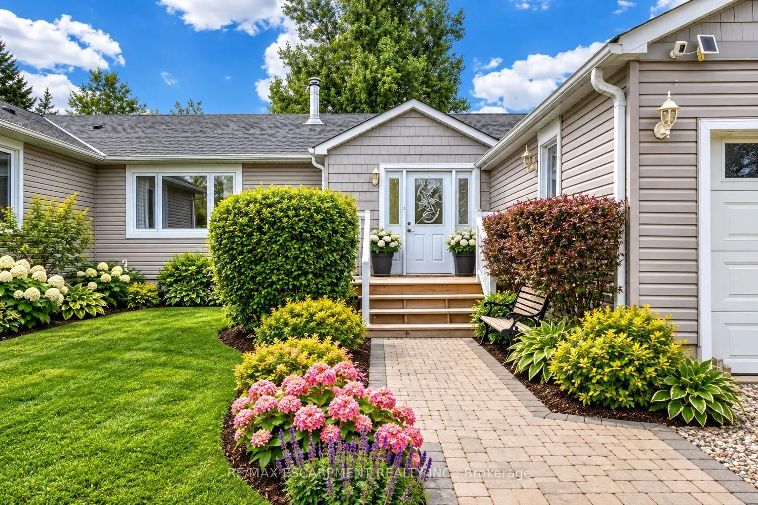 555118 MONO AMARANTH Townline