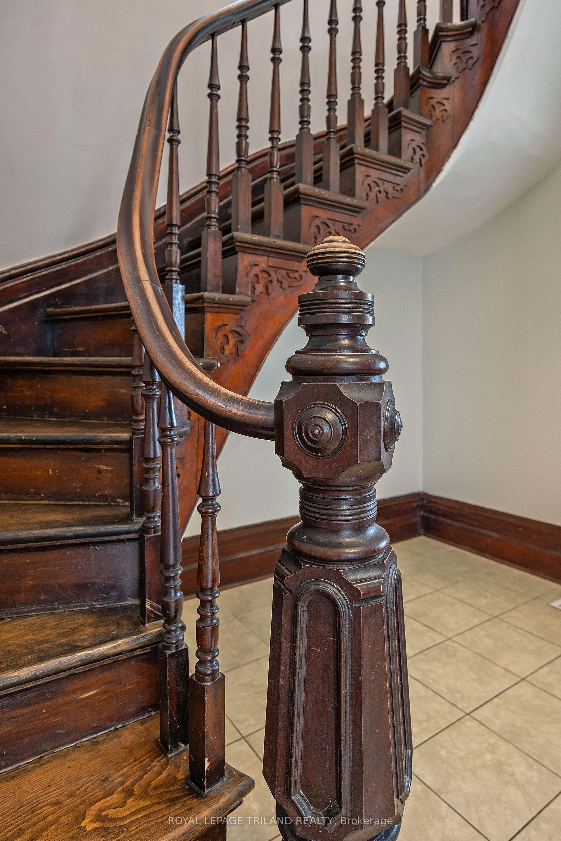 44 Elgin Street