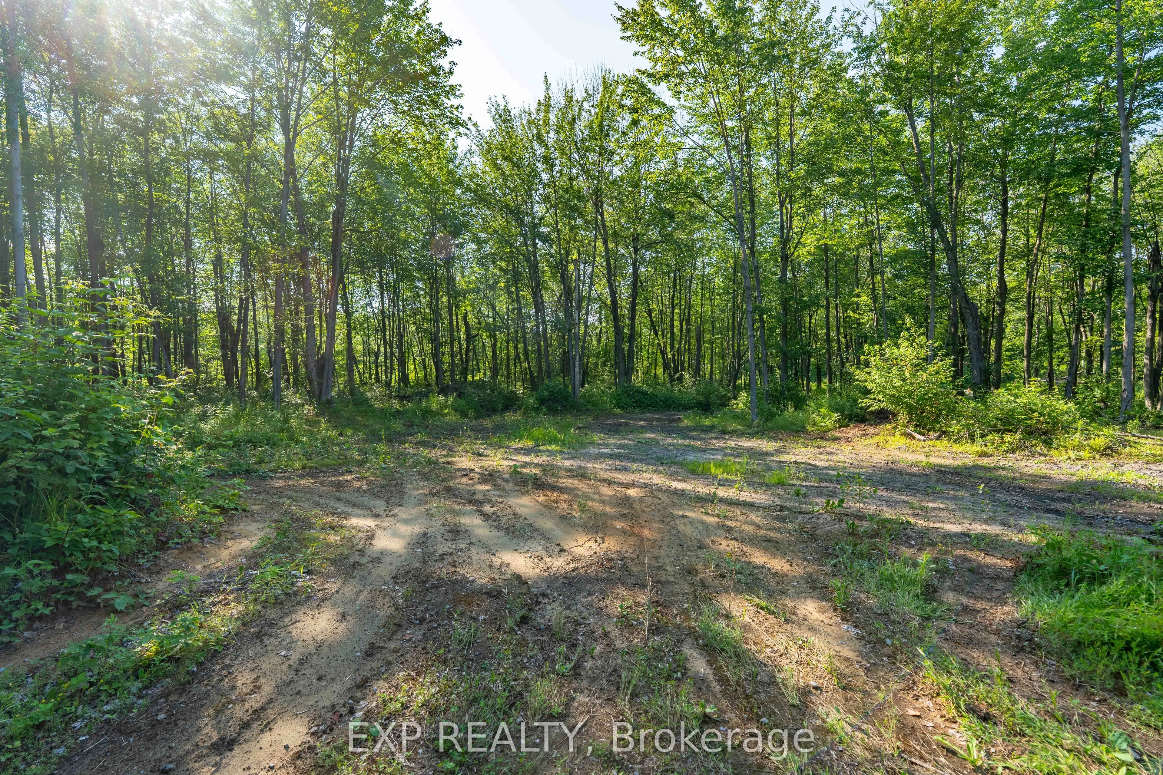 Lot 20 CONCESSION 4 Road