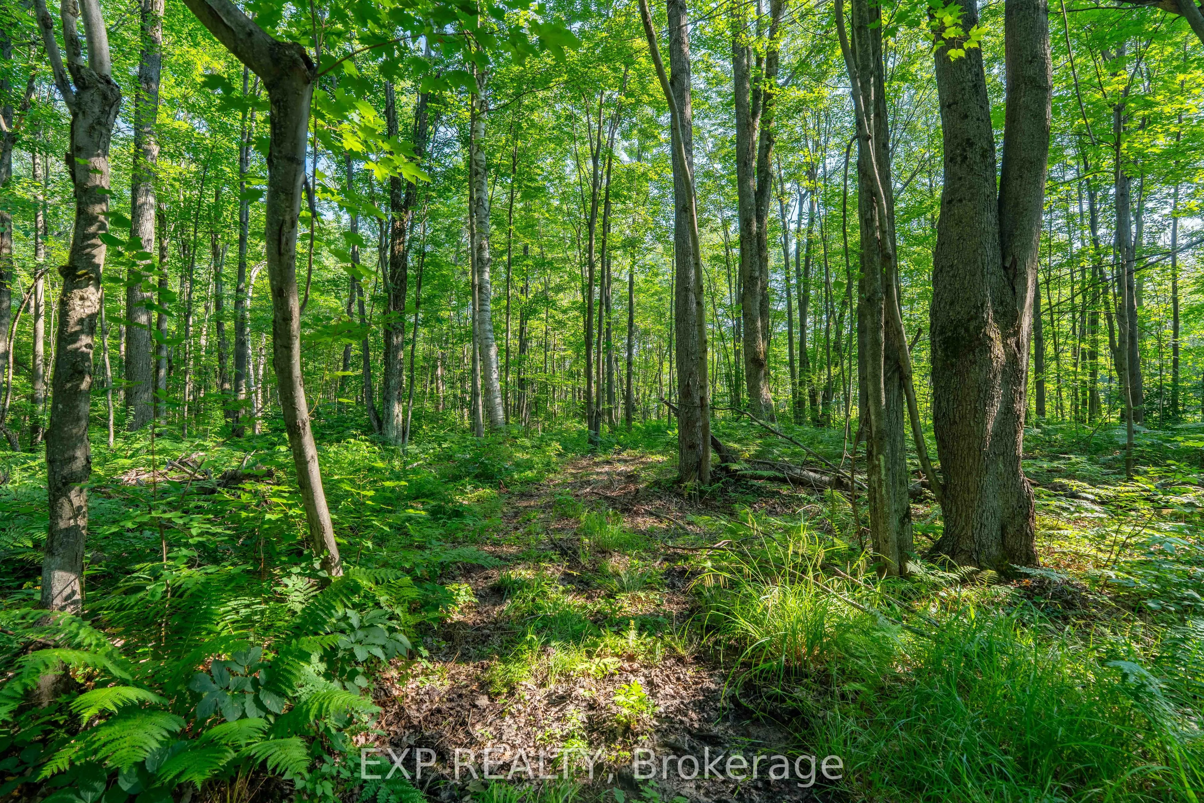 Lot 20 CONCESSION 4 Road