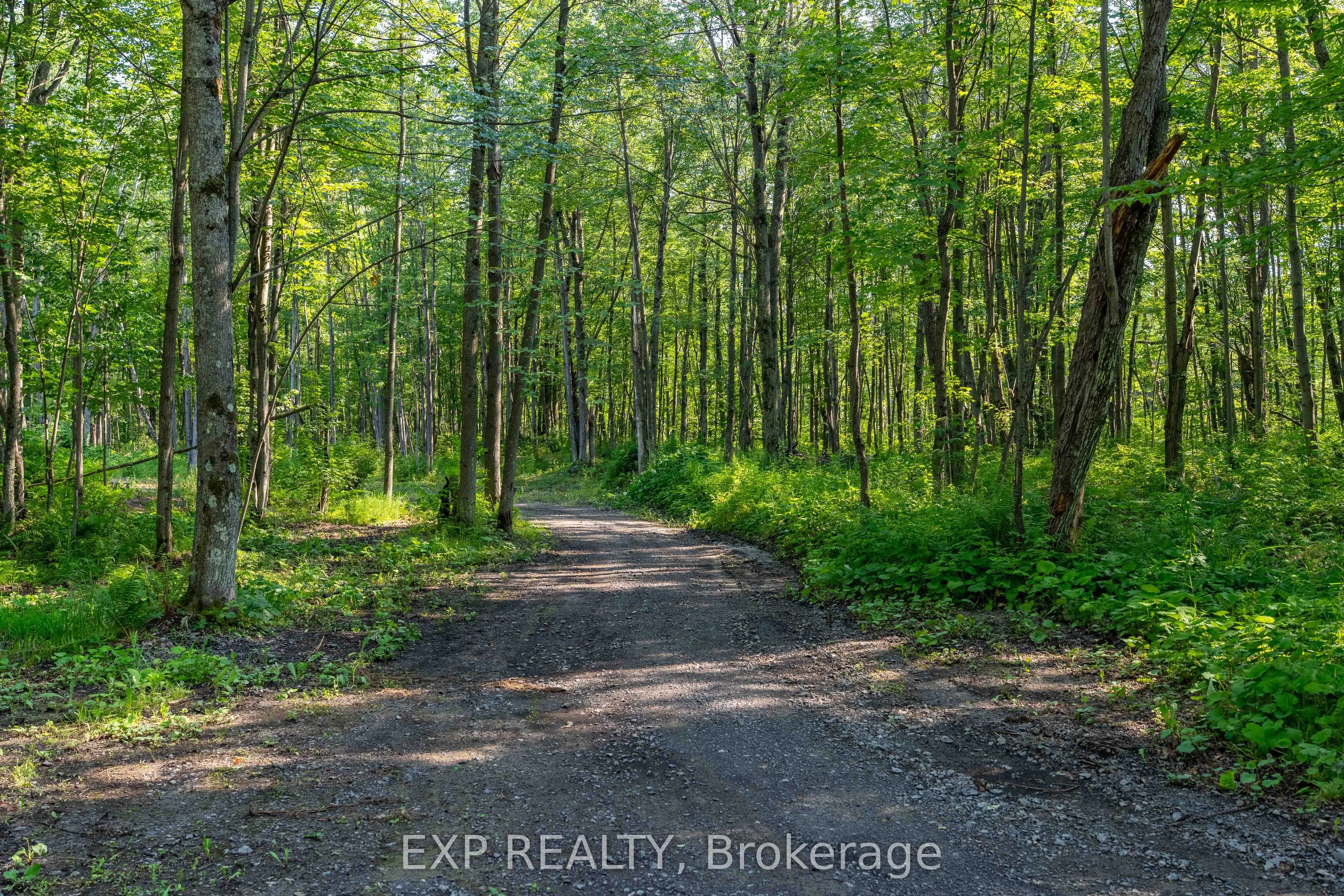 Lot 20 CONCESSION 4 Road