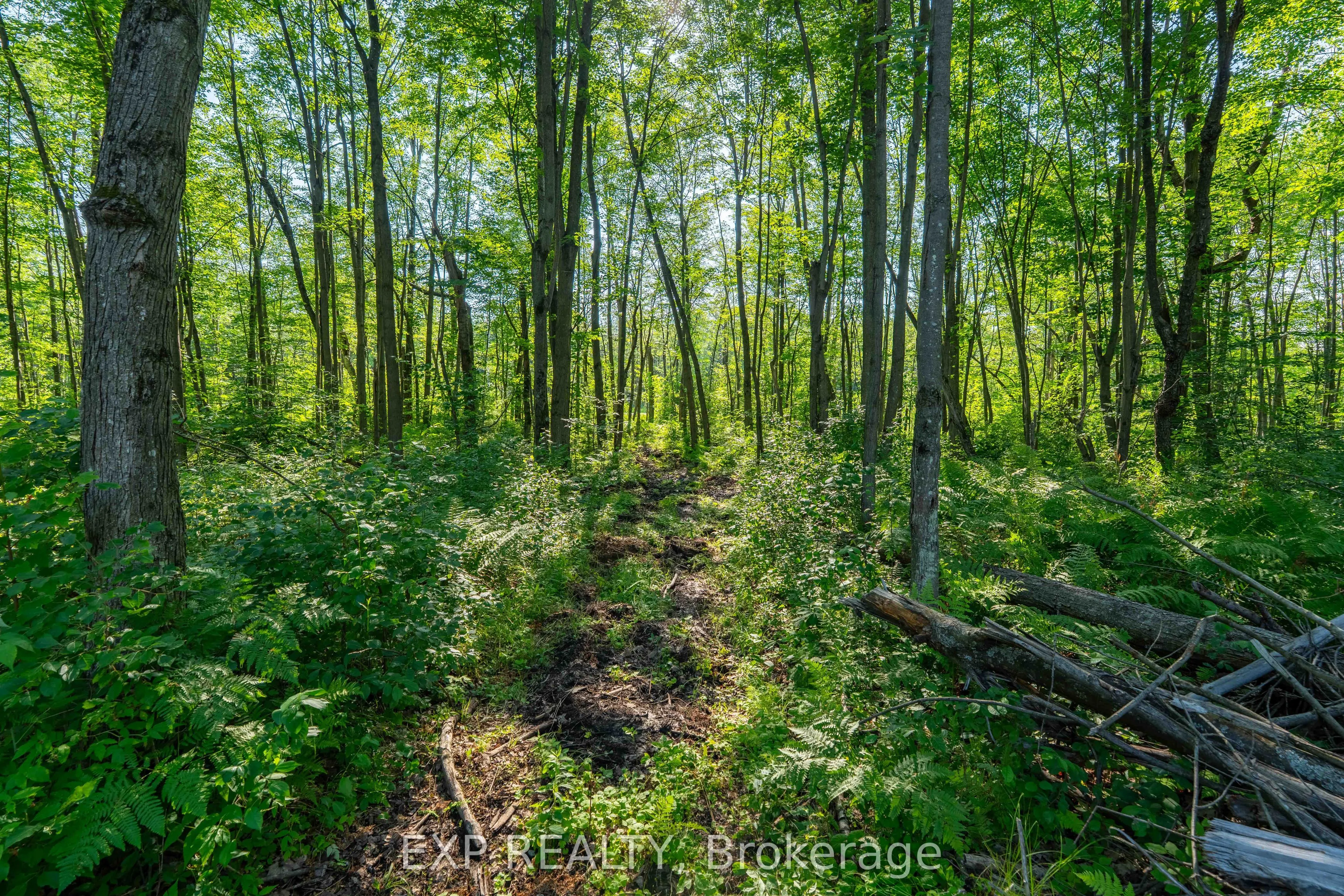 Lot 20 CONCESSION 4 Road