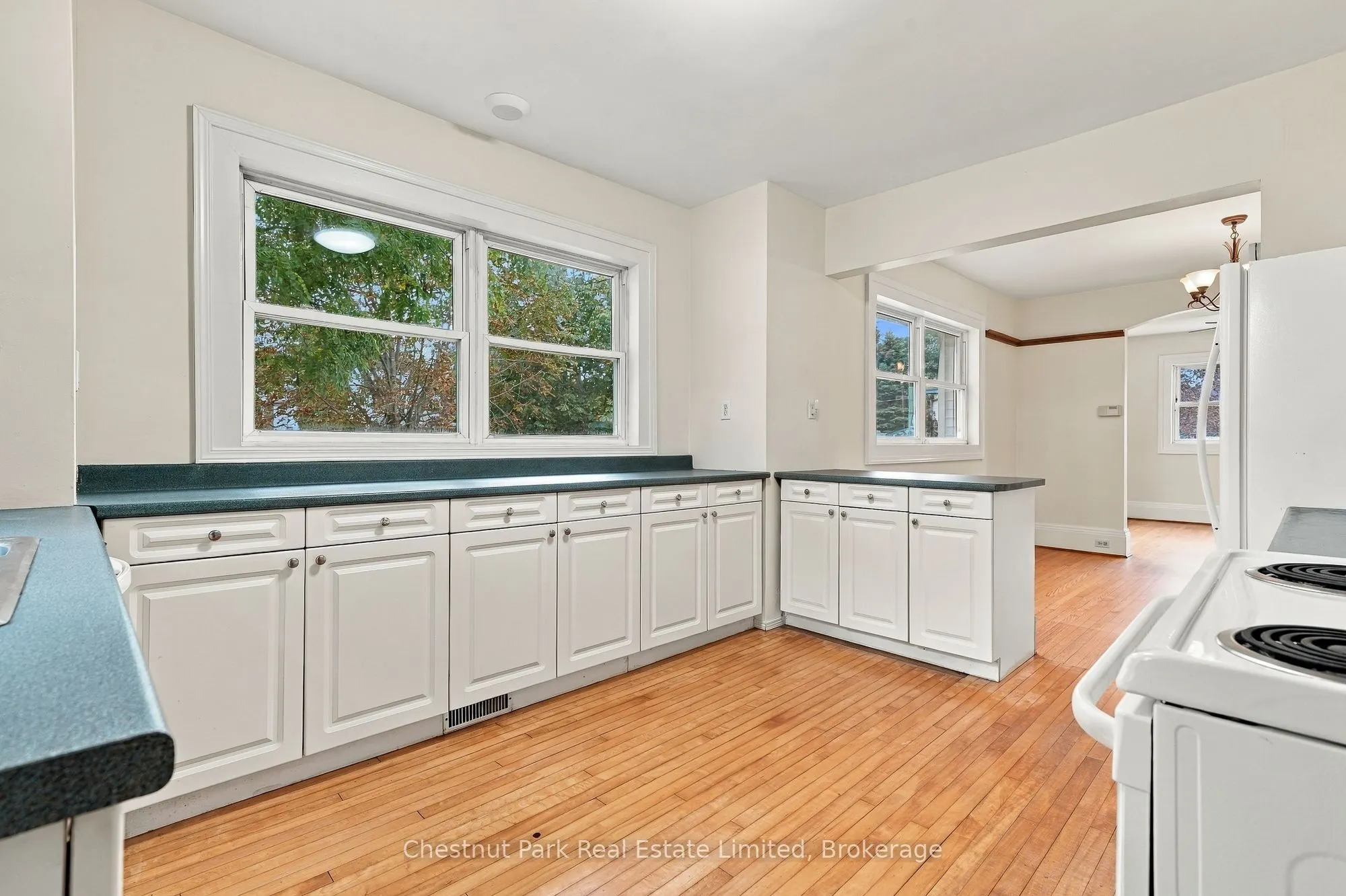 10 Northport Street