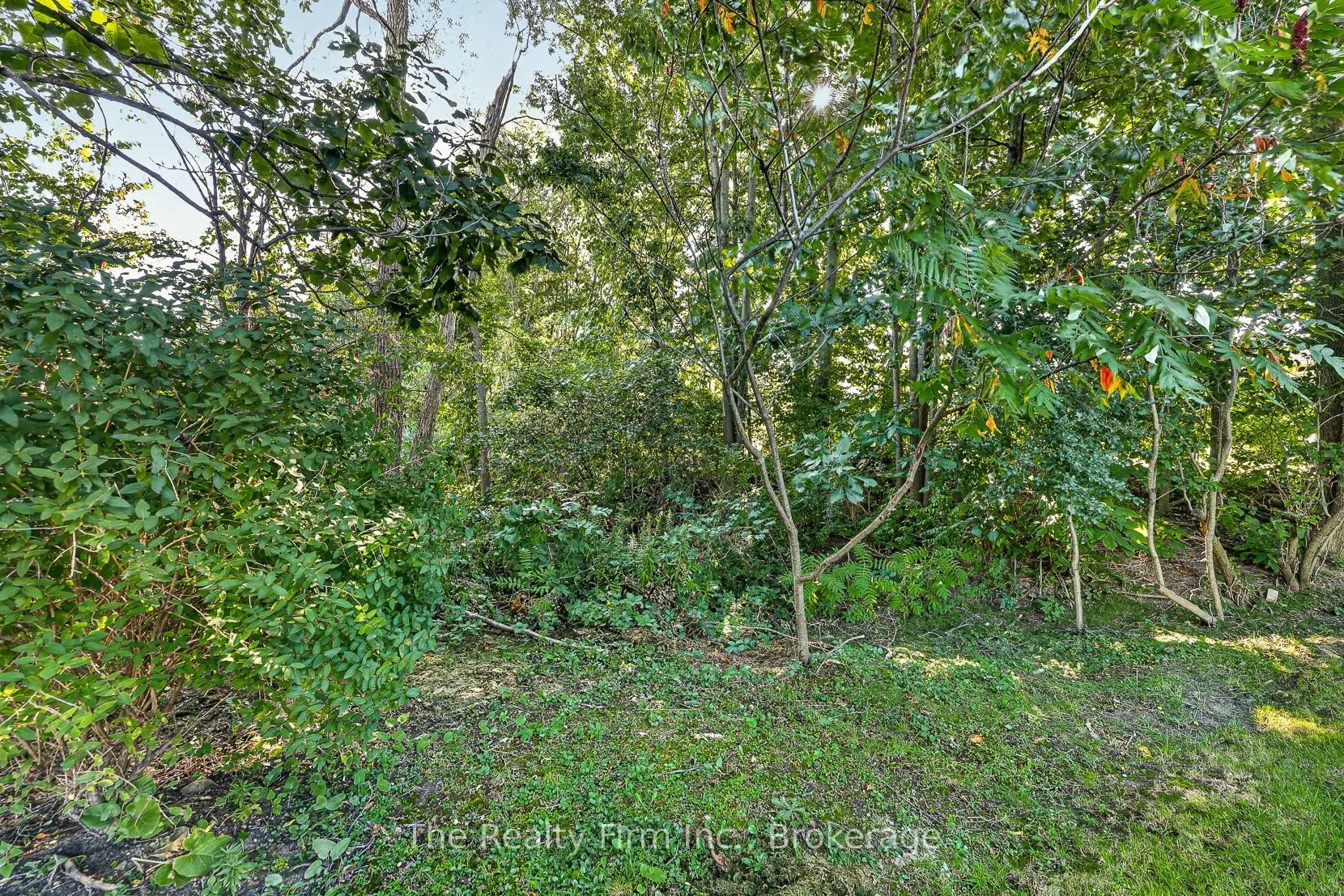 35 Beech Boulevard