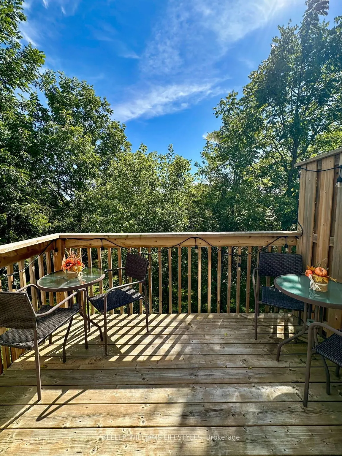 601 Lions Park Drive #32