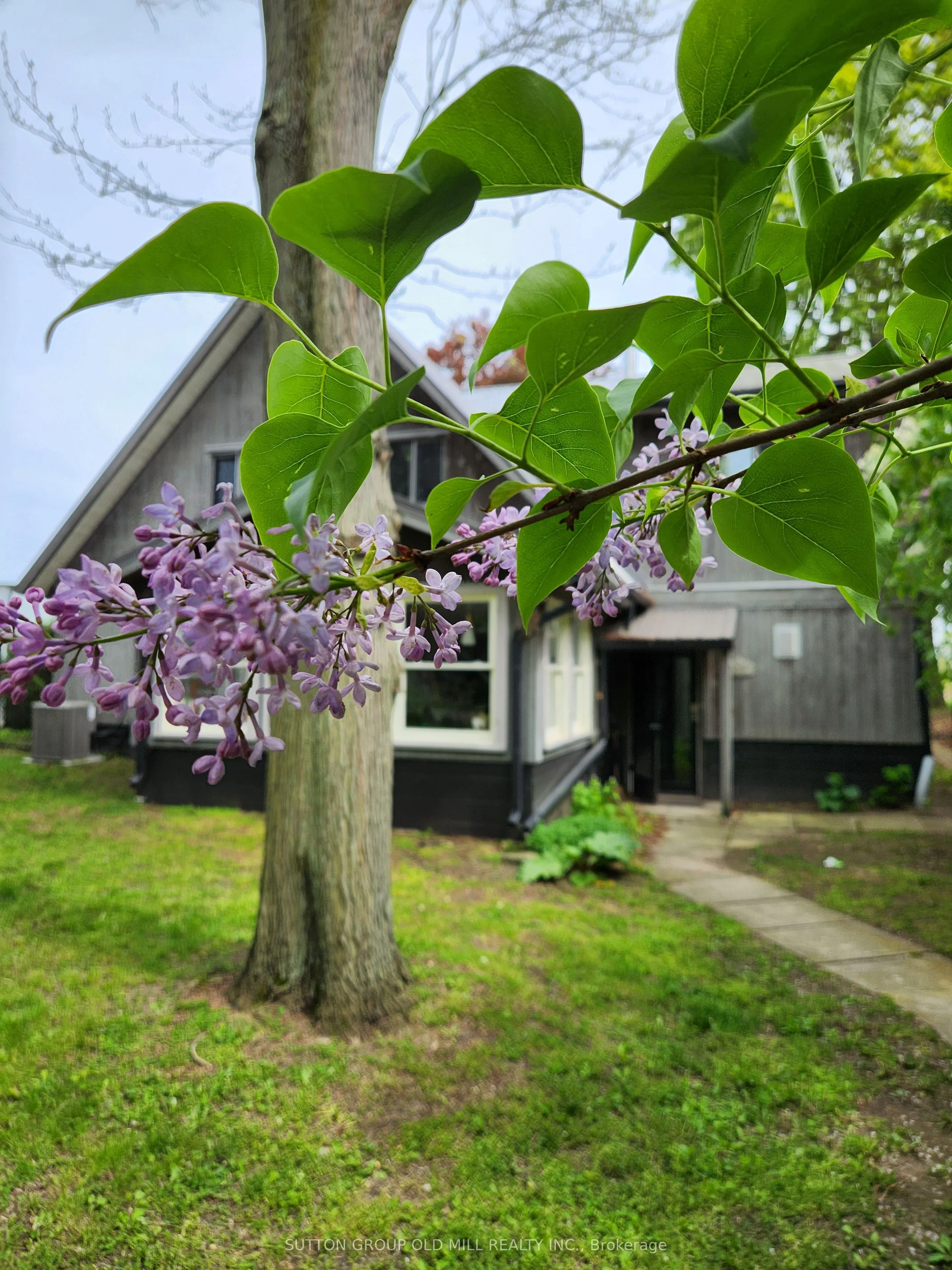 25 Lakeshore Road W