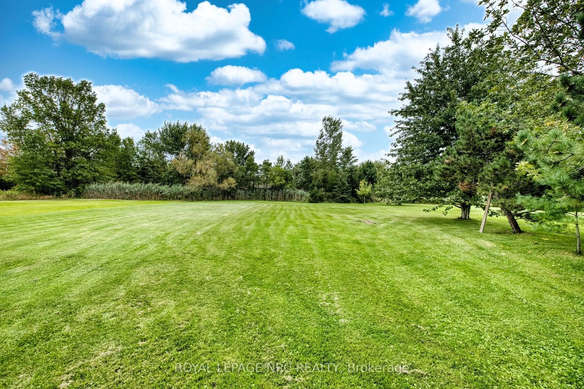 647 Chippawa Road